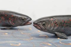 Bronces austriacos de truchas de finales del siglo XIX de Bergman 'Mark / Cipher' B, Geschutzt