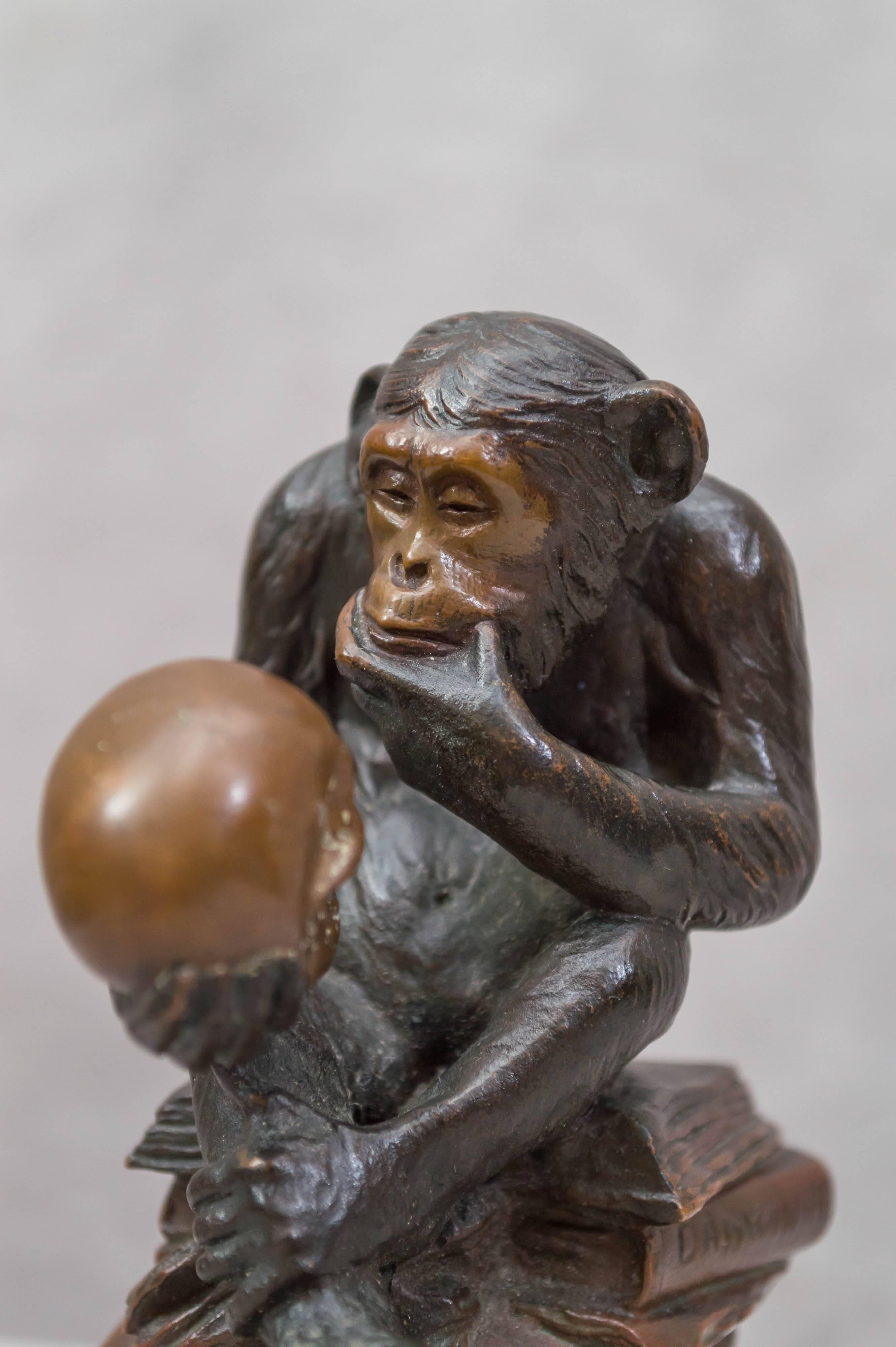 Hand-Crafted Whimsical Bronze Figure of a Monkey Studying a Skull, Darwinian Reference