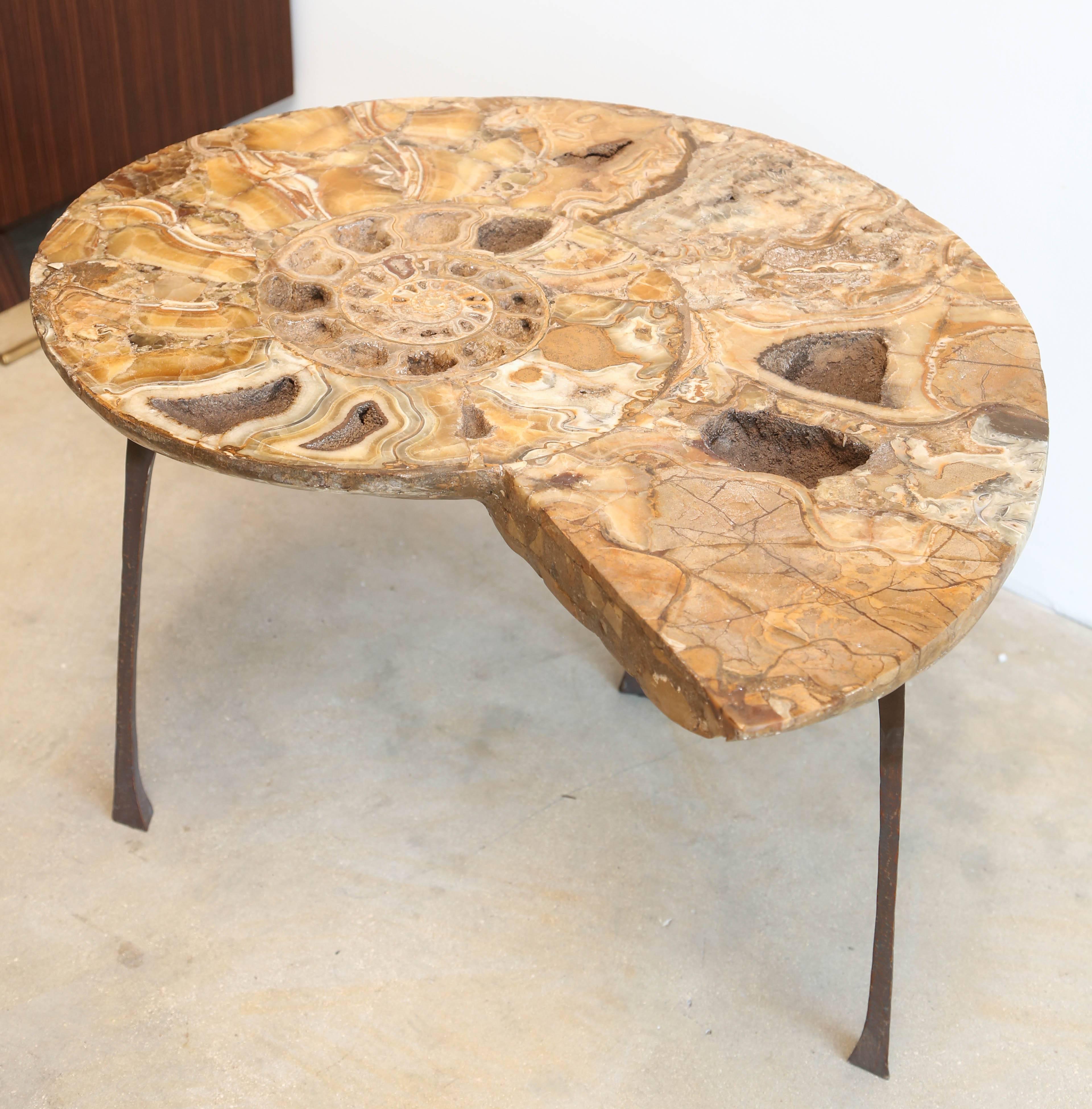 fossil table
