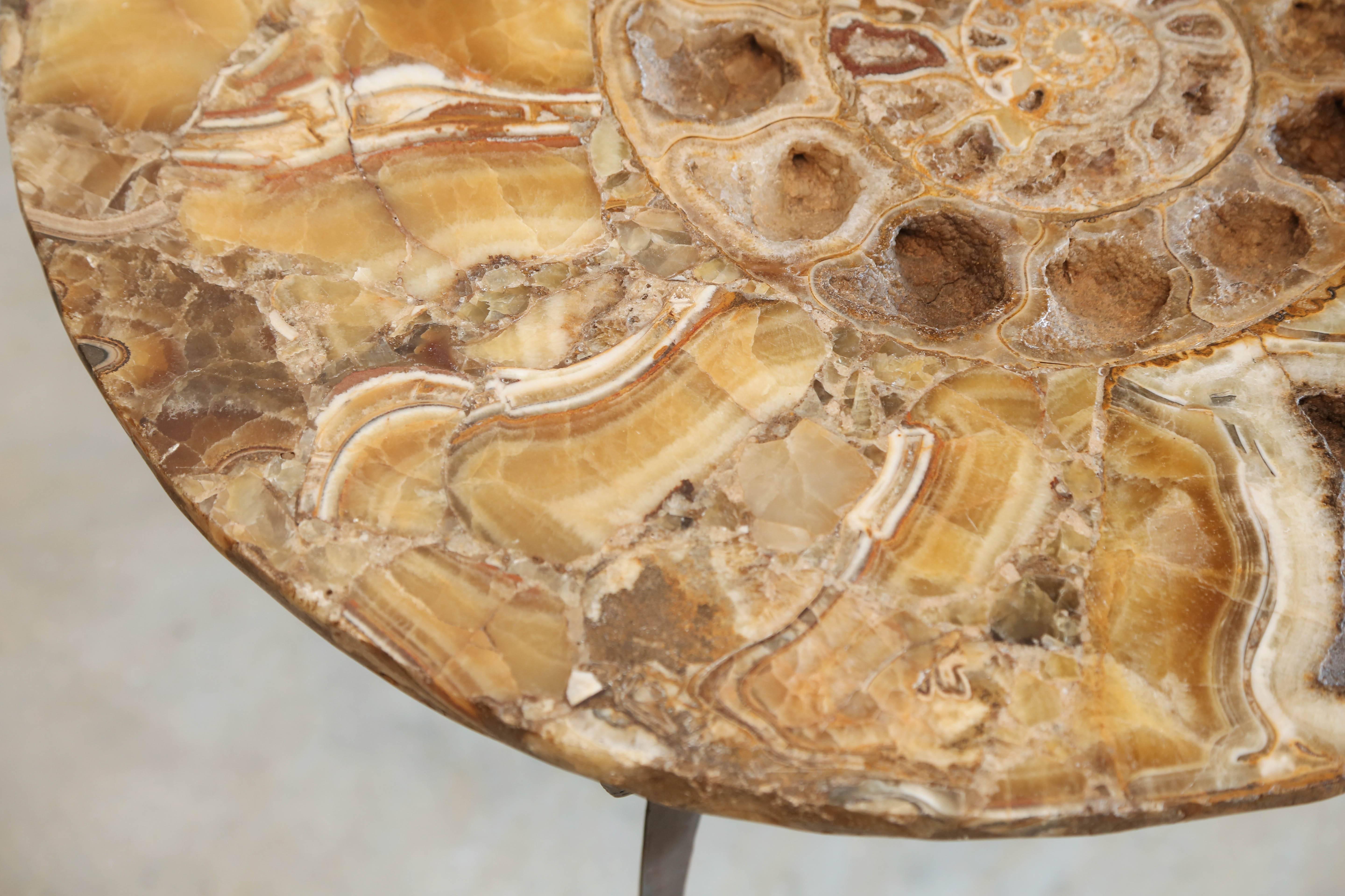 Organic Modern Coffee or Sofa Table a Fossil of Ammonite Standing on a Bronze Base