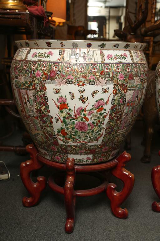 Pair of Enormous "Fish Bowls "on Stands at 1stDibs