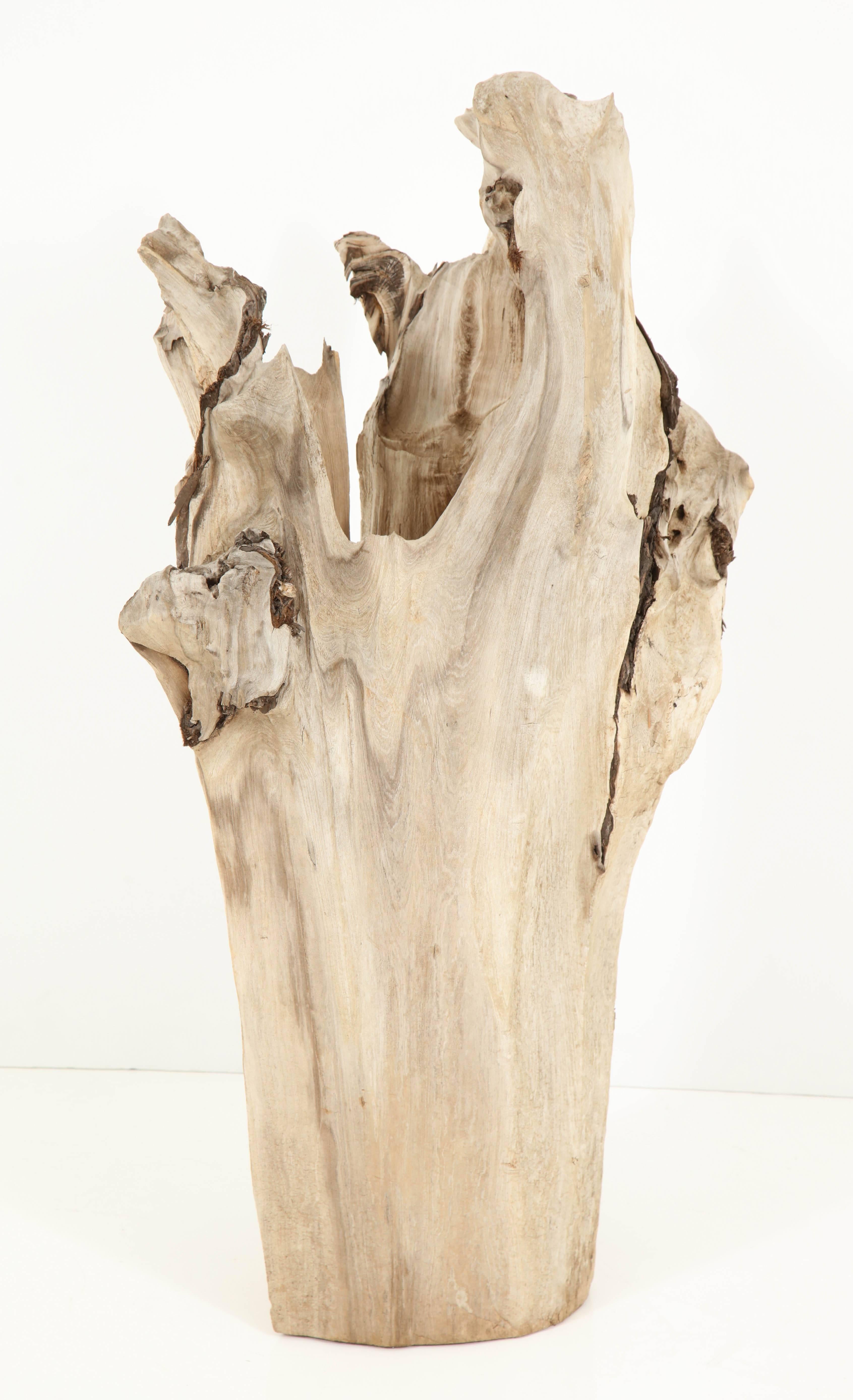 American Sculpture, Wood, Cypress