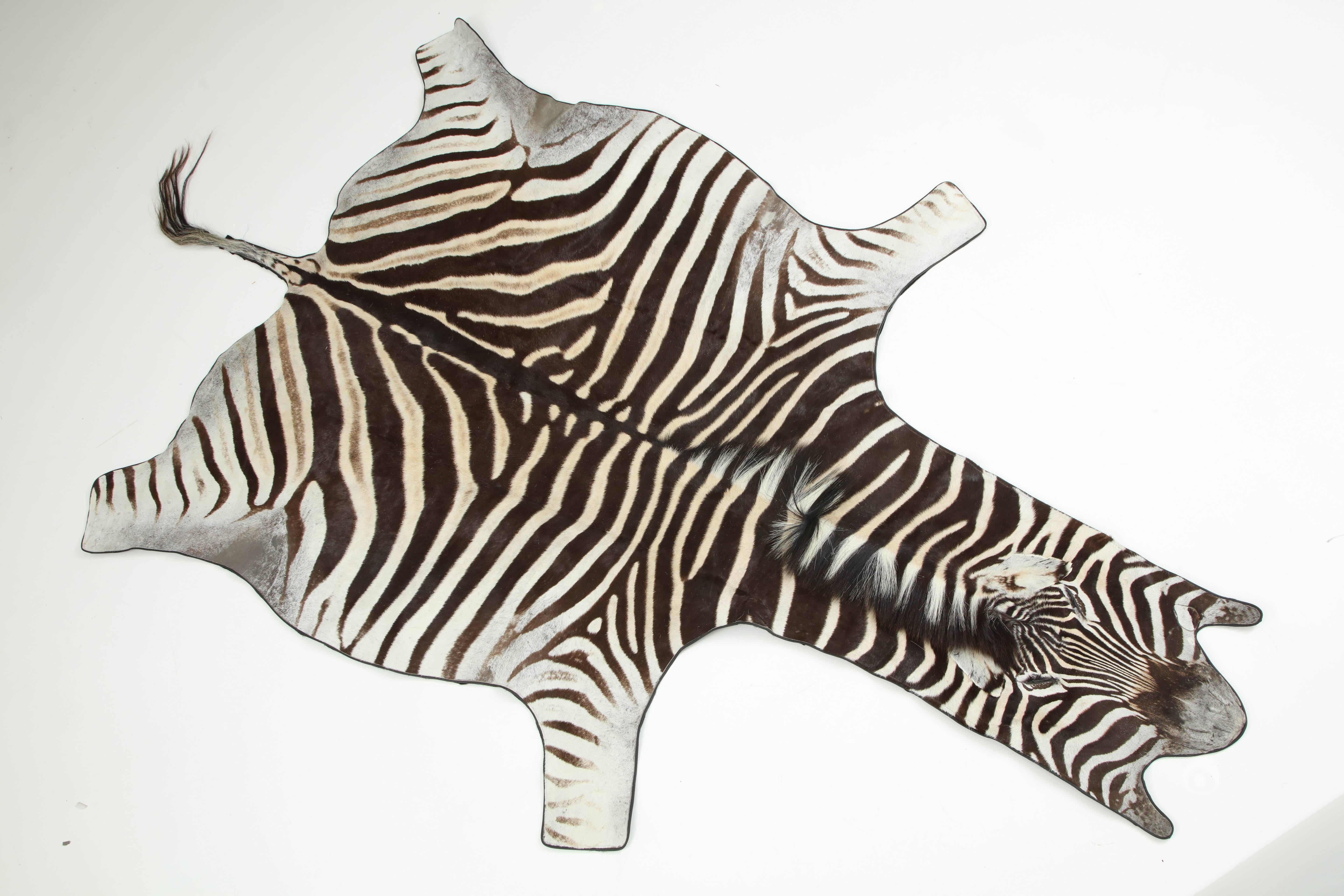 Zebra rug from South Africa.