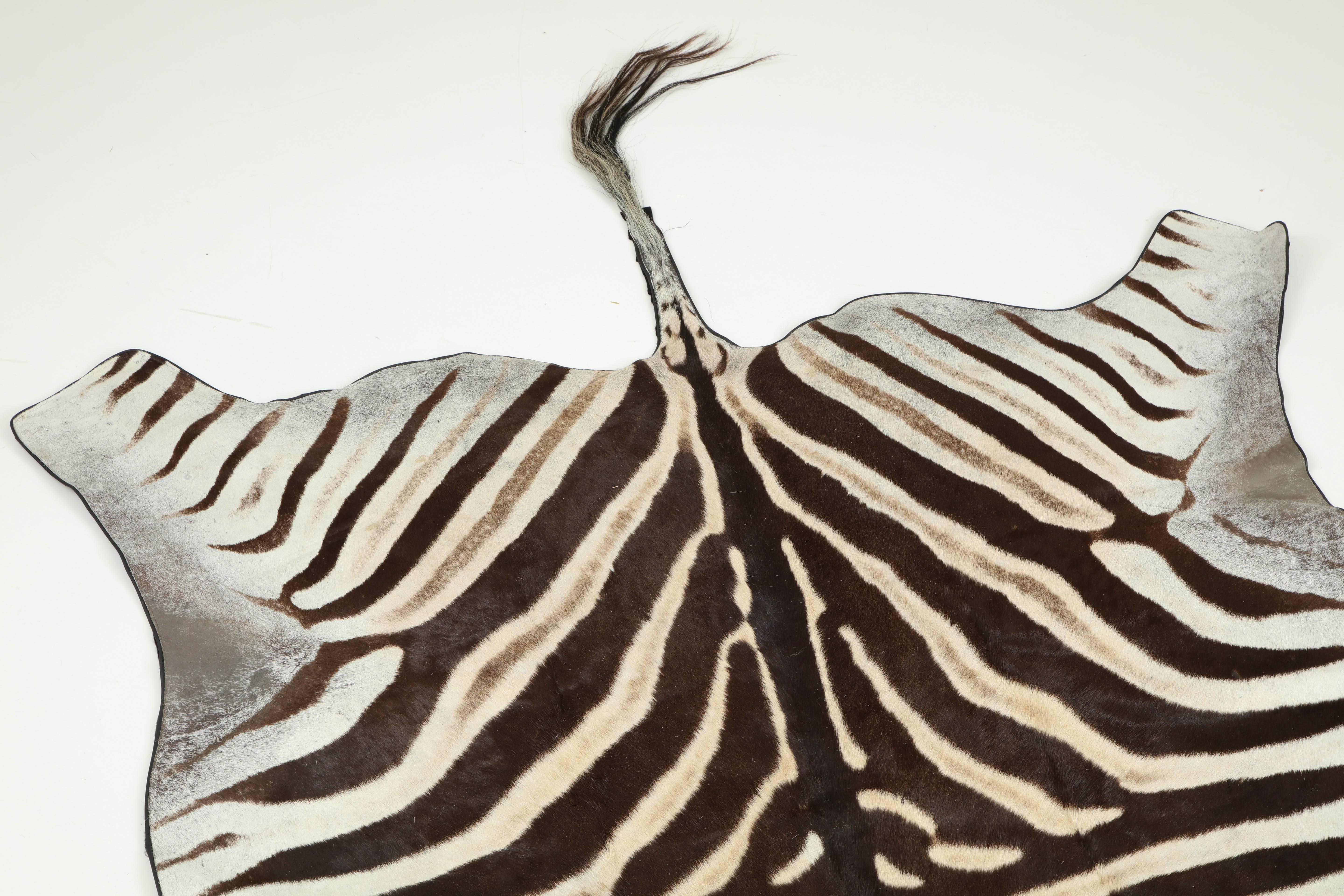 Hand-Crafted Rug, Zebra Hide, Backed with Leather Trim