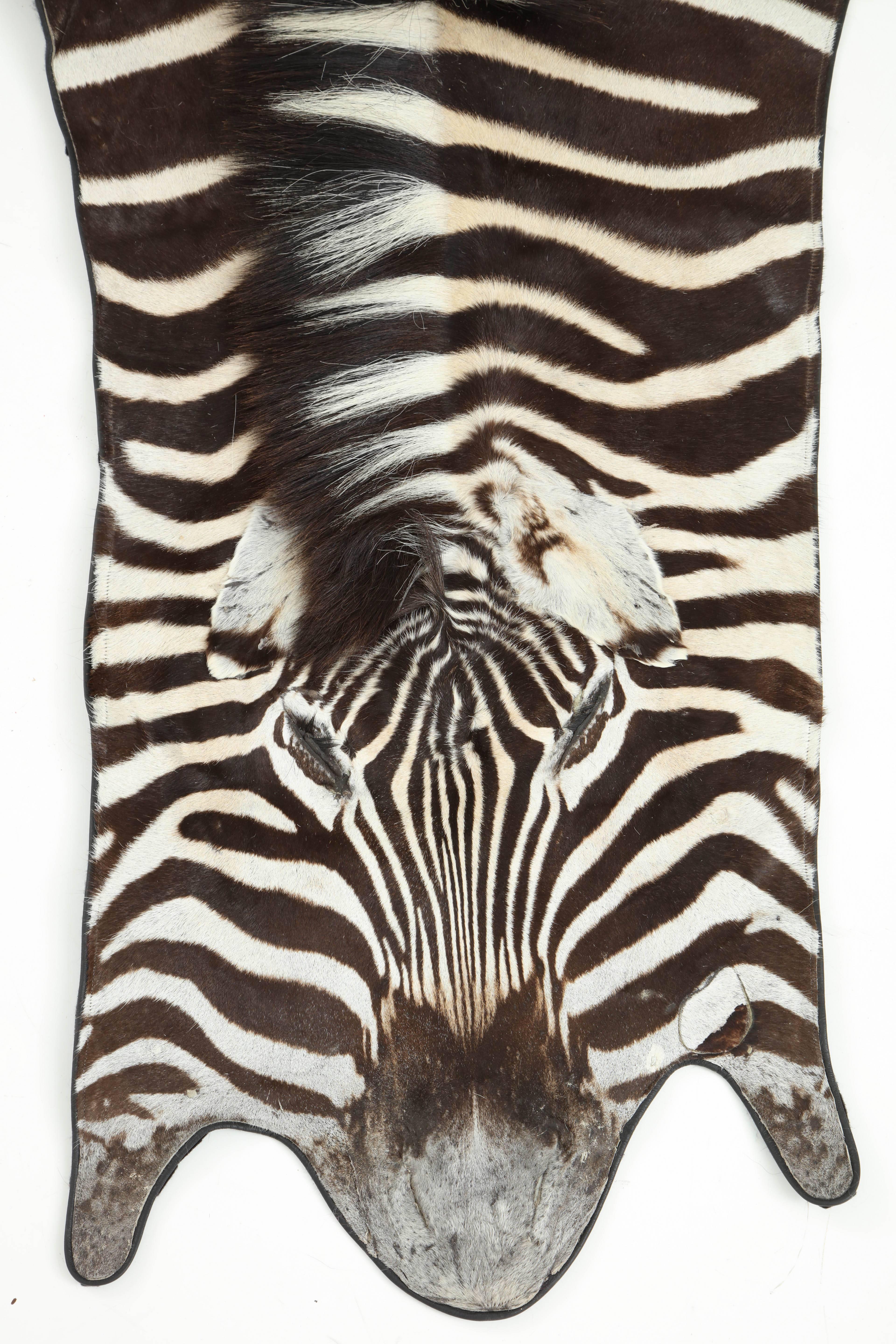 Rug, Zebra Hide, Backed with Leather Trim In Excellent Condition In New York, NY