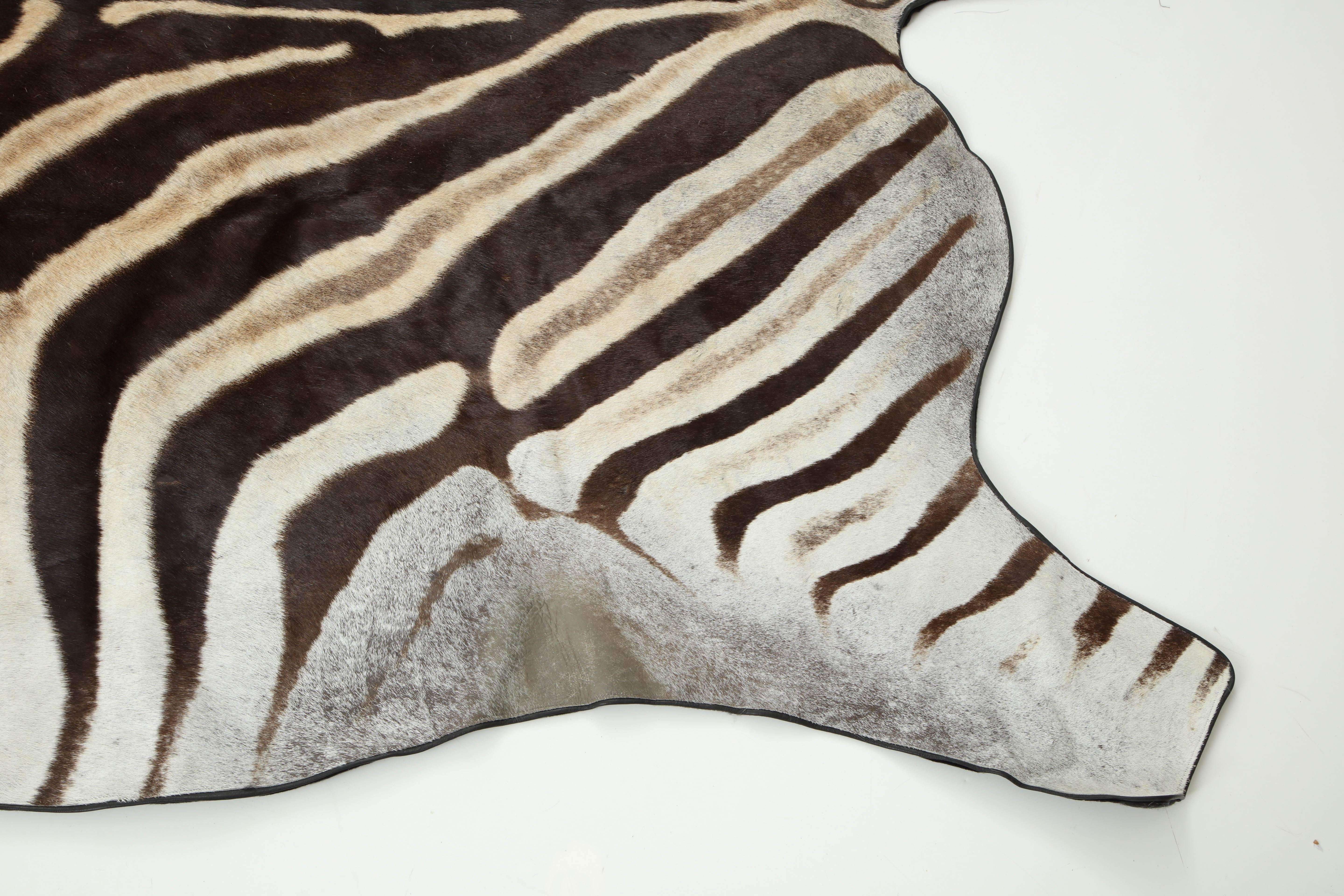 Rug, Zebra Hide, Backed with Leather Trim 2