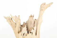 Sculpture, Wood, Cypress