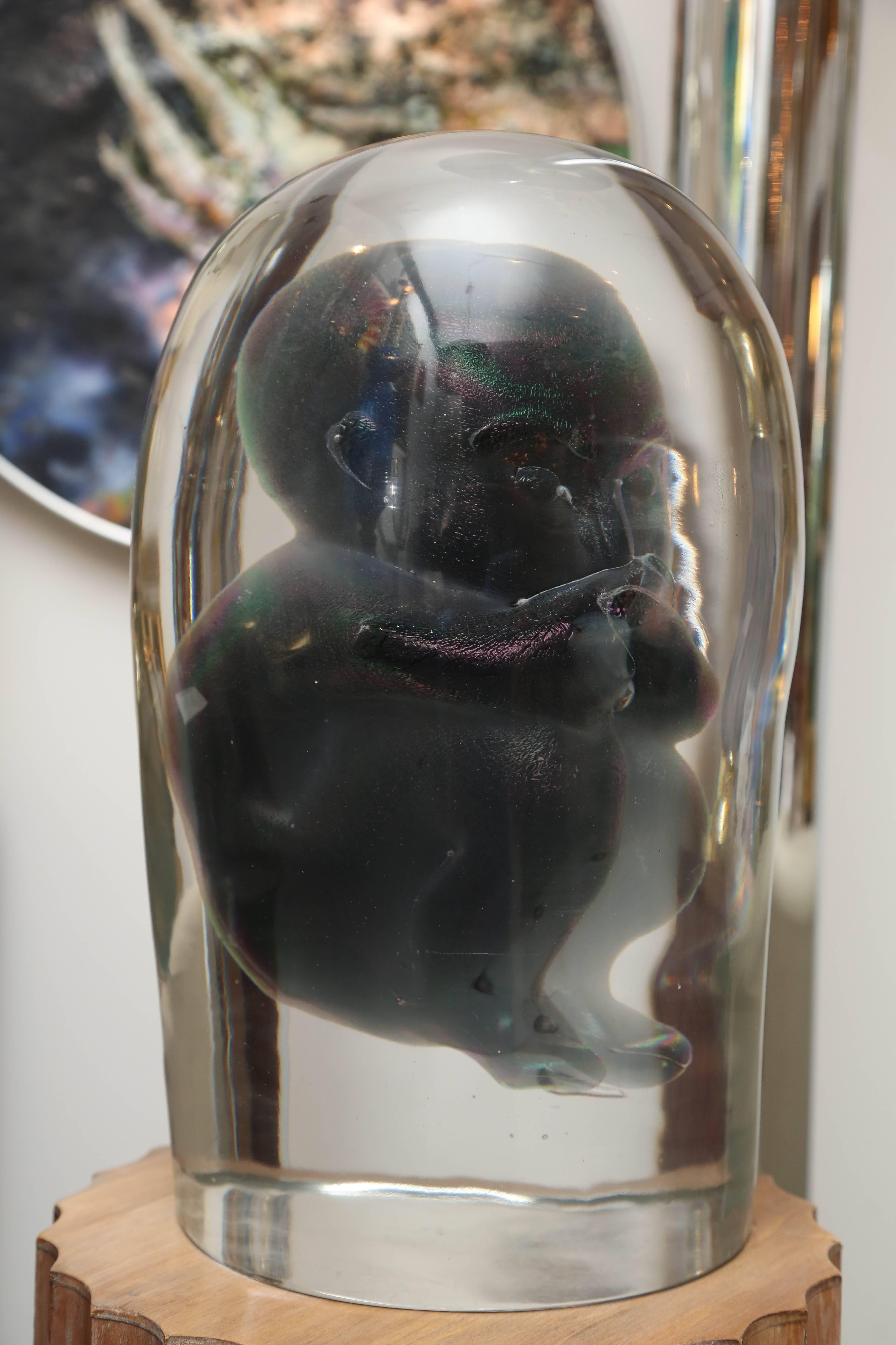 20th Century Bizarre Murano Glass Encased Fetus For Sale