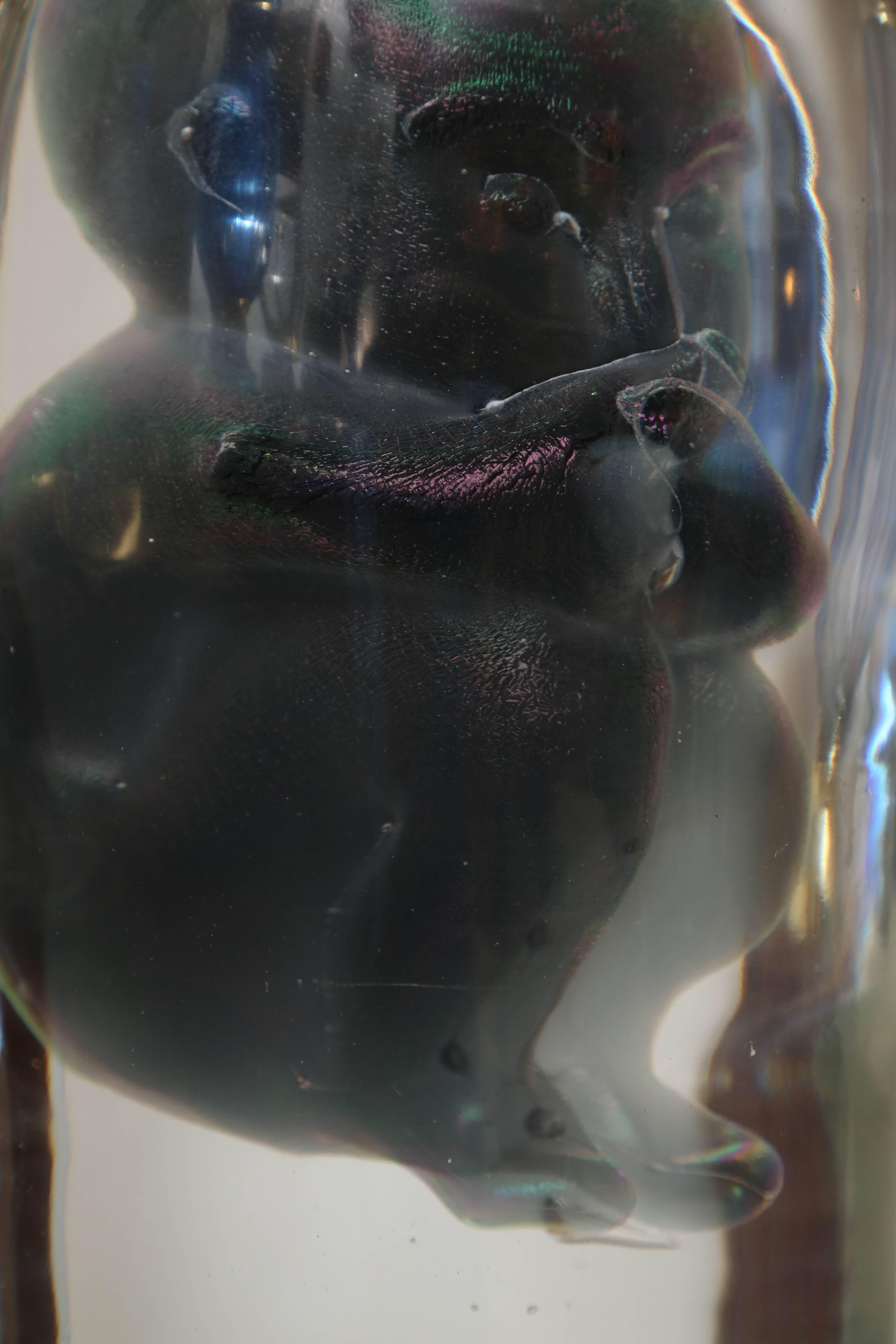 Bizarre Murano Glass Encased Fetus For Sale 1