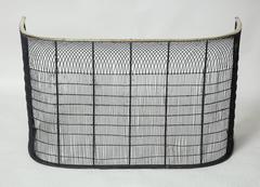 Georgian Brass and Iron Fire Guard