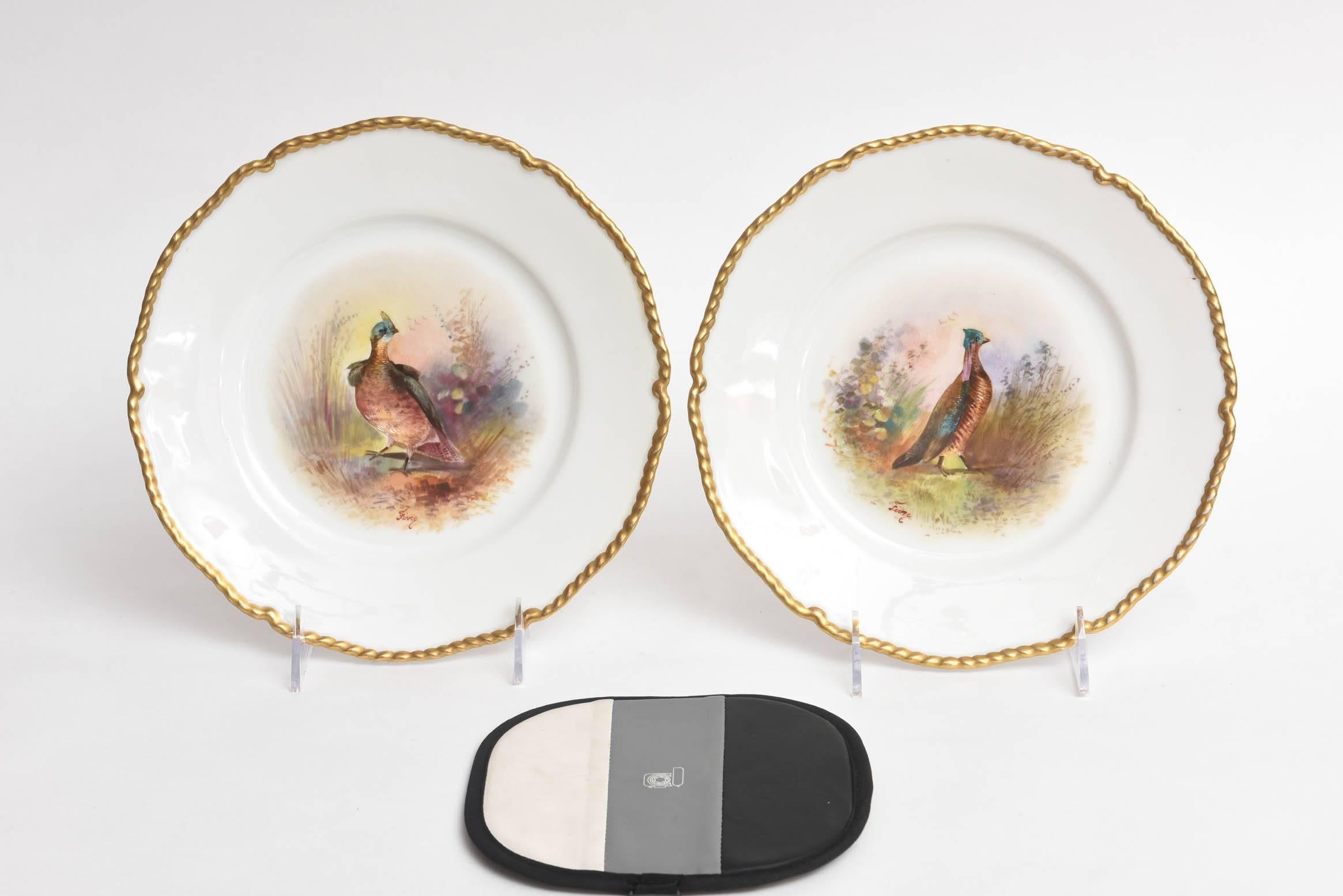 A delightful and well painted pair of game bird plates. This pair features a scalloped and gold trim shape and rim. Two very colorful and hand-painted birds amidst full flora and fauna.