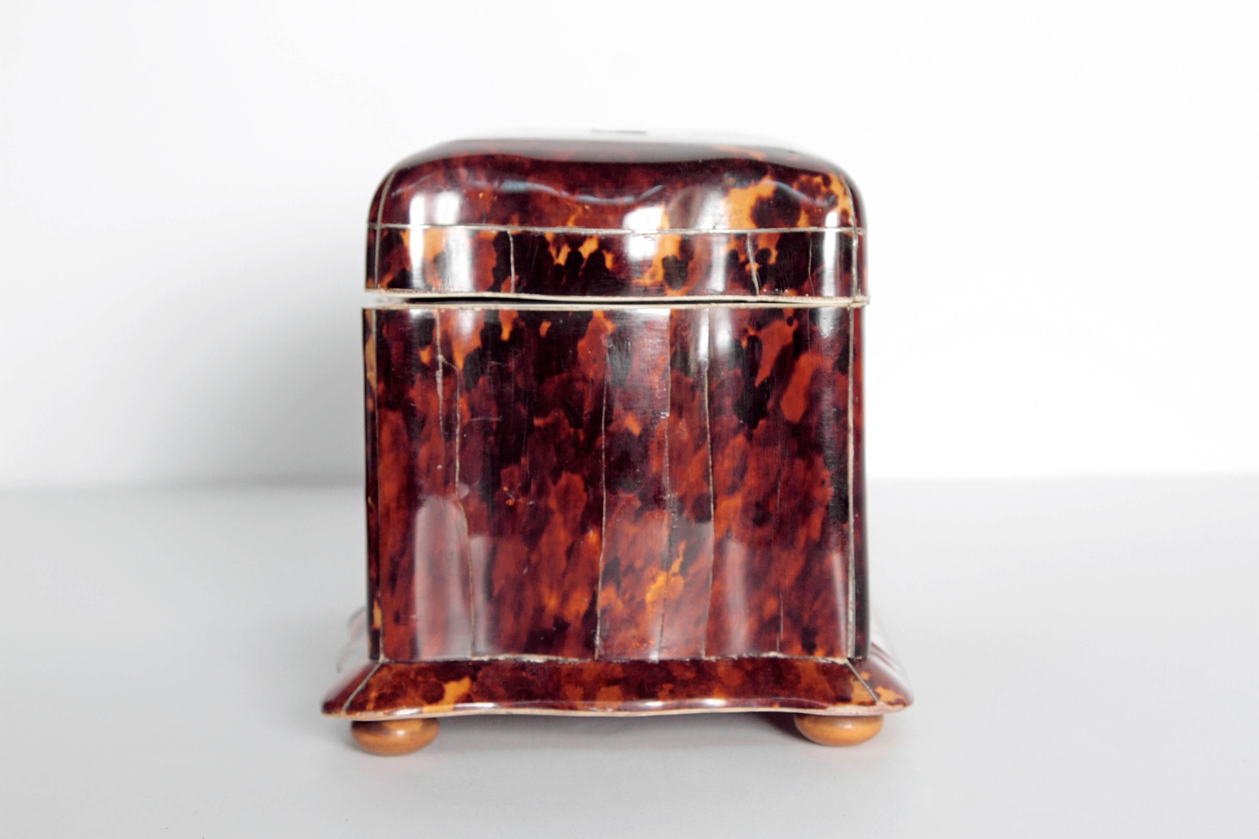 Inlay 19th Century English Regency Tortoiseshell Tea Caddy