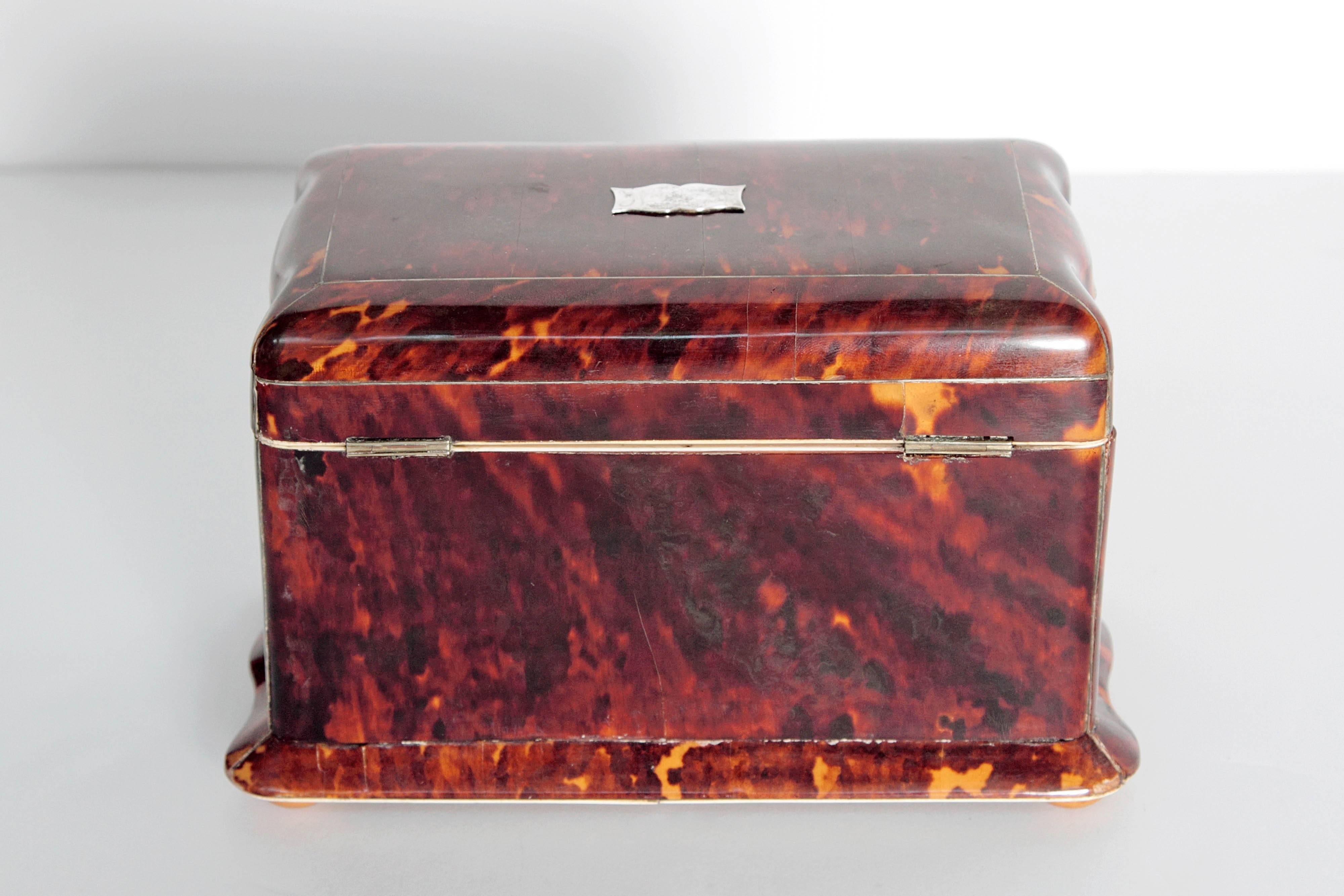19th Century English Regency Tortoiseshell Tea Caddy In Good Condition In Dallas, TX