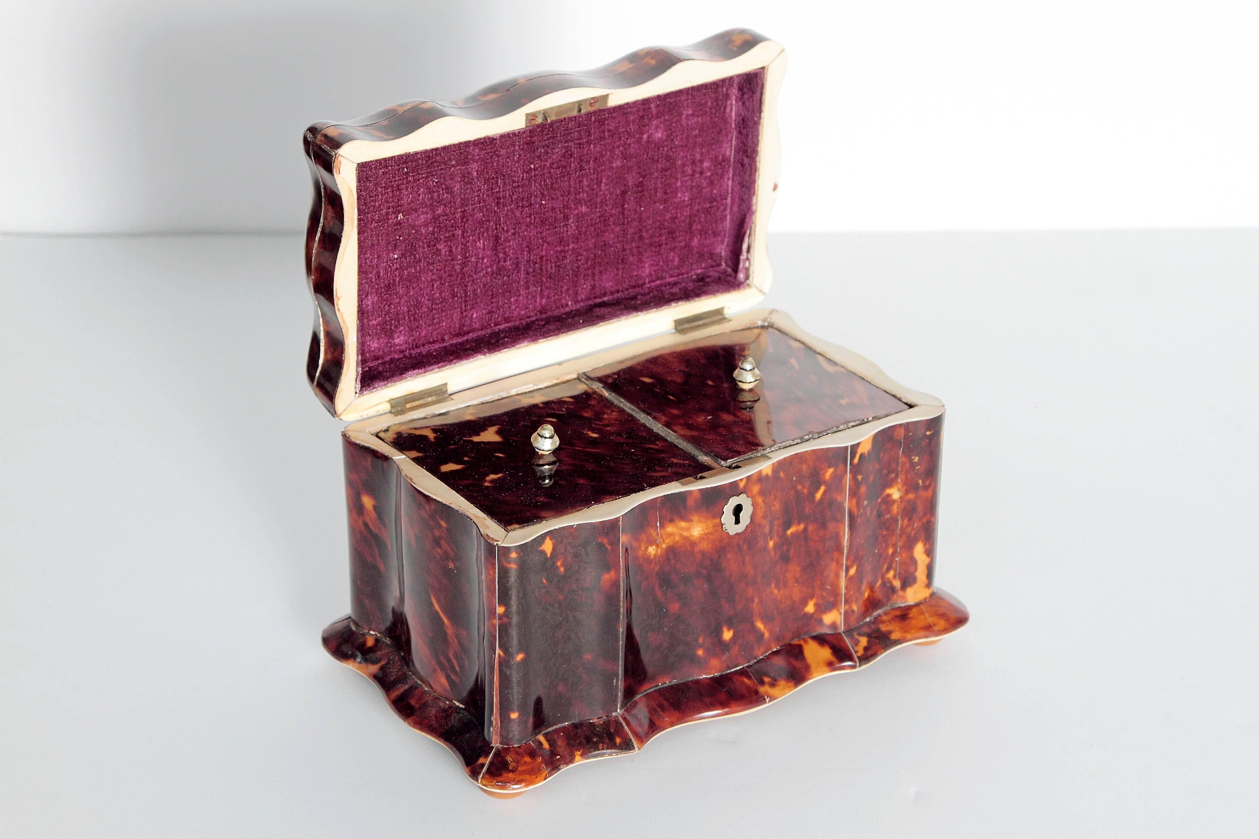 Sterling Silver 19th Century English Regency Tortoiseshell Tea Caddy