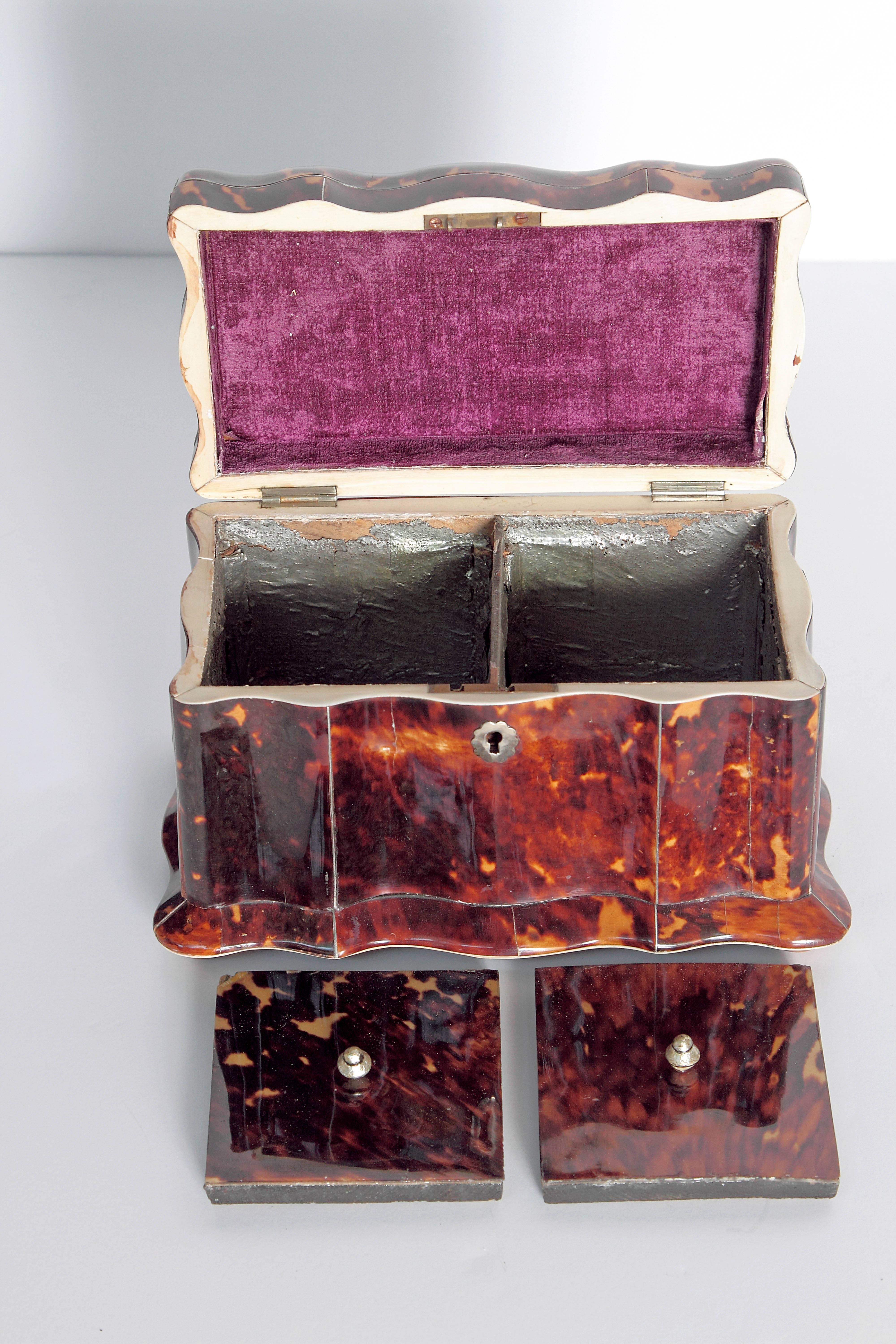 19th Century English Regency Tortoiseshell Tea Caddy 1