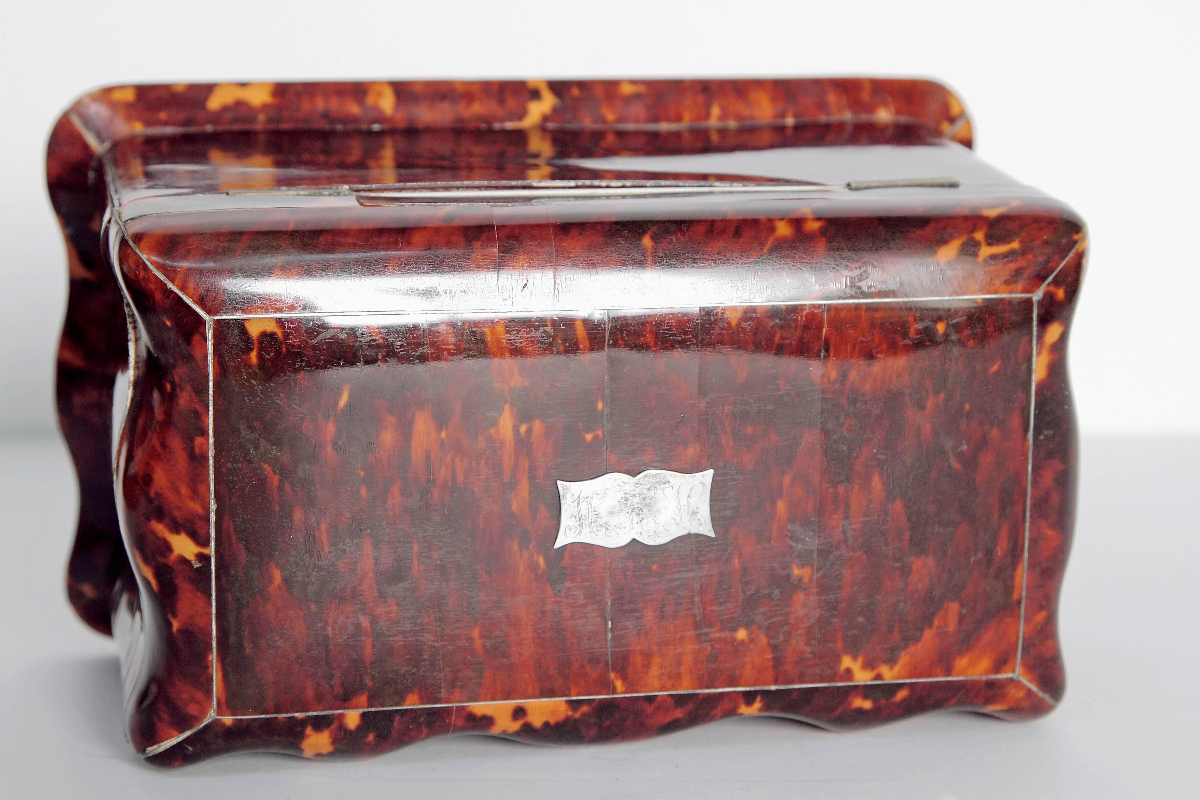 19th Century English Regency Tortoiseshell Tea Caddy 2