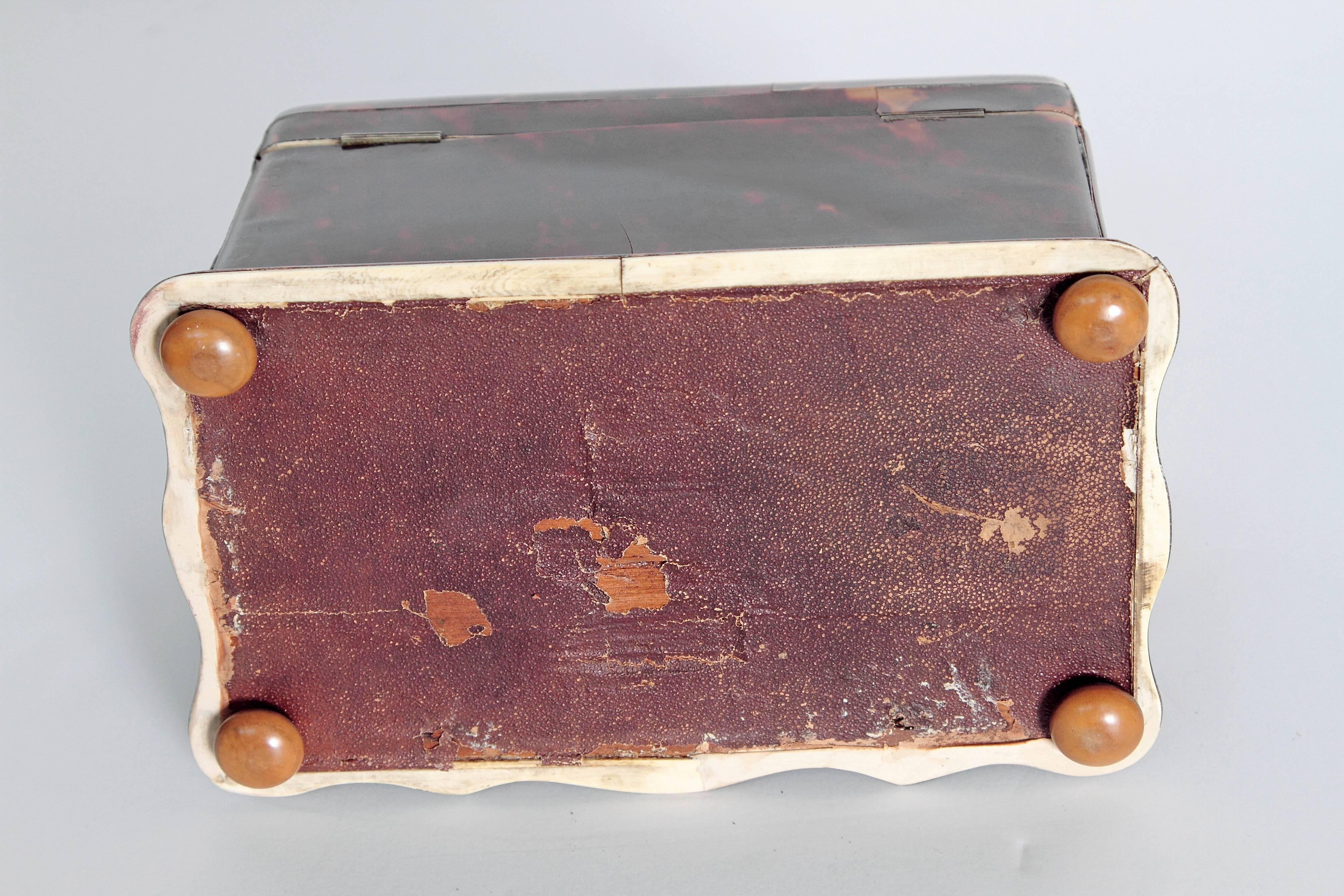 19th Century English Regency Tortoiseshell Tea Caddy 4