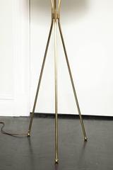 Mid-Century Polished Brass Tripod Floor Lamp