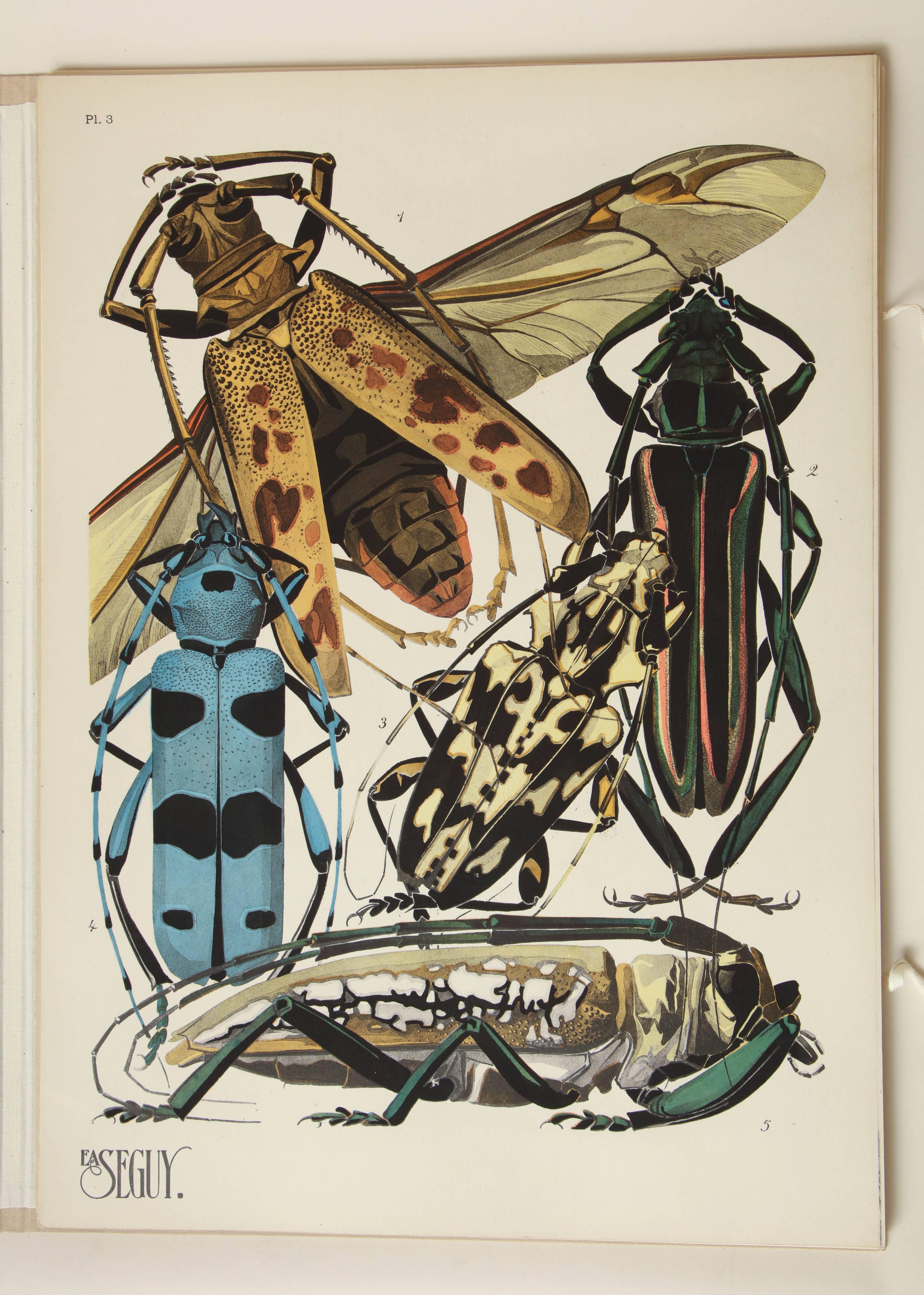 French 'Insectes' by E.A. Seguy