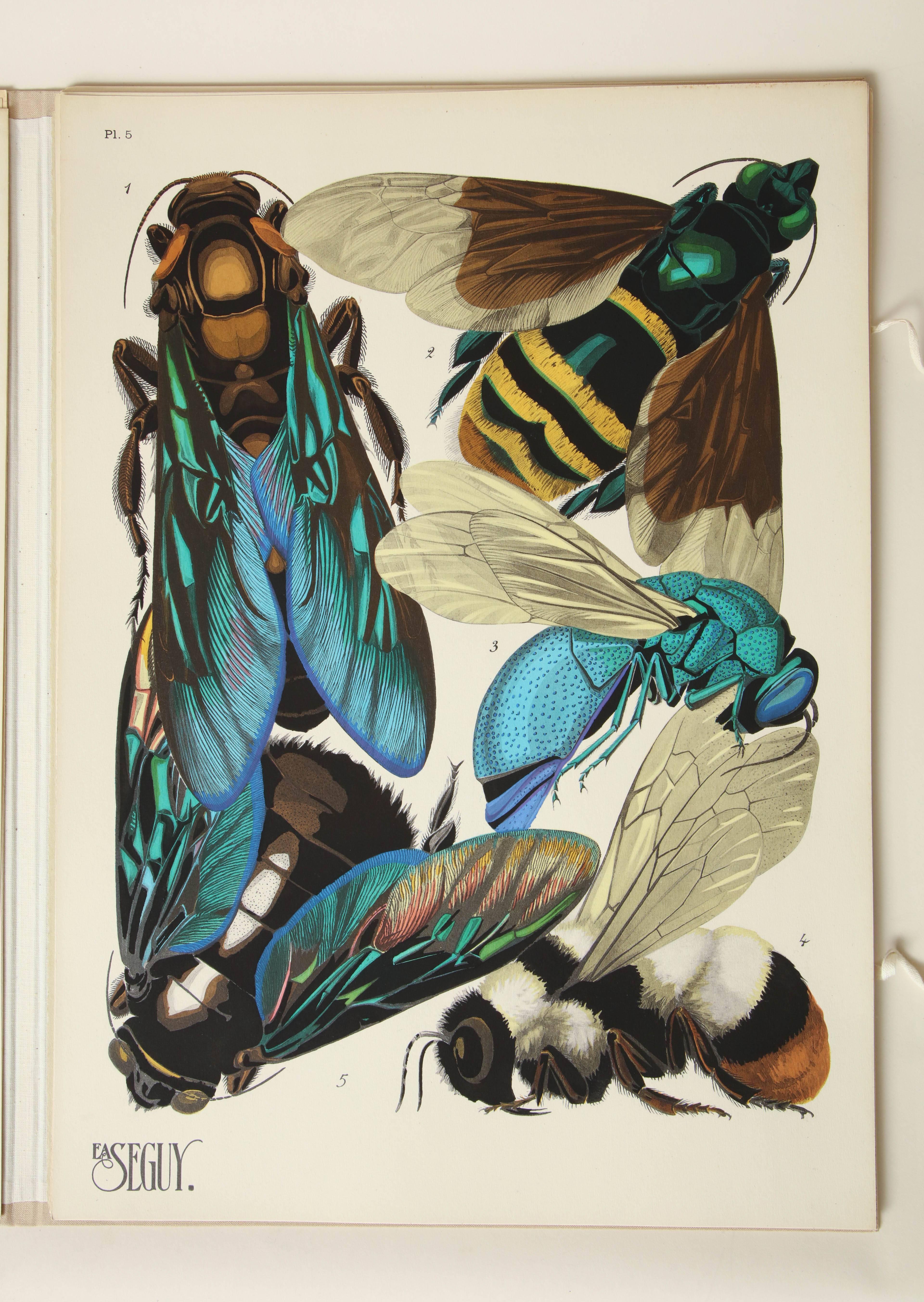 'Insectes' by E.A. Seguy In Excellent Condition In New York, NY