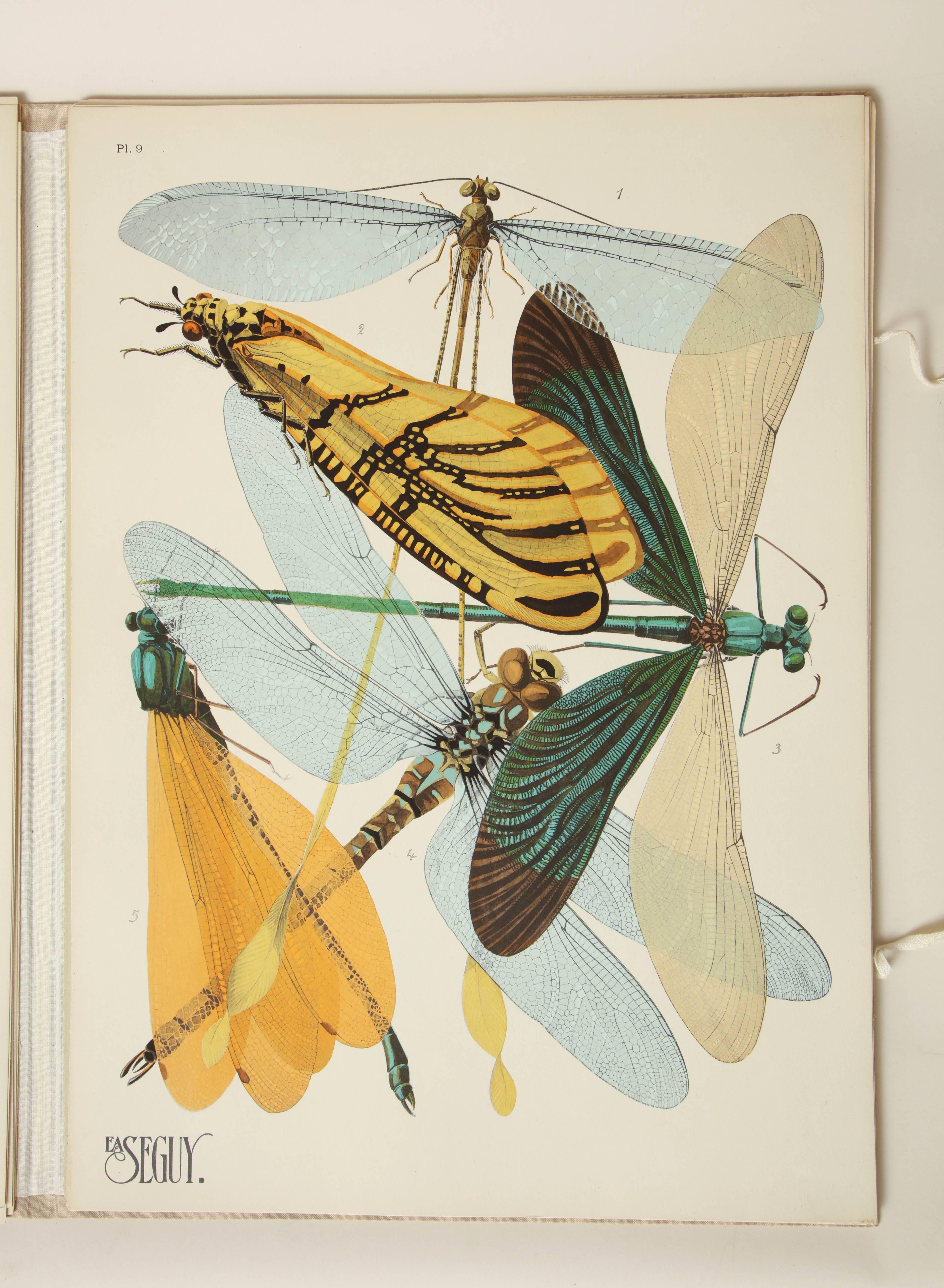 20th Century 'Insectes' by E.A. Seguy