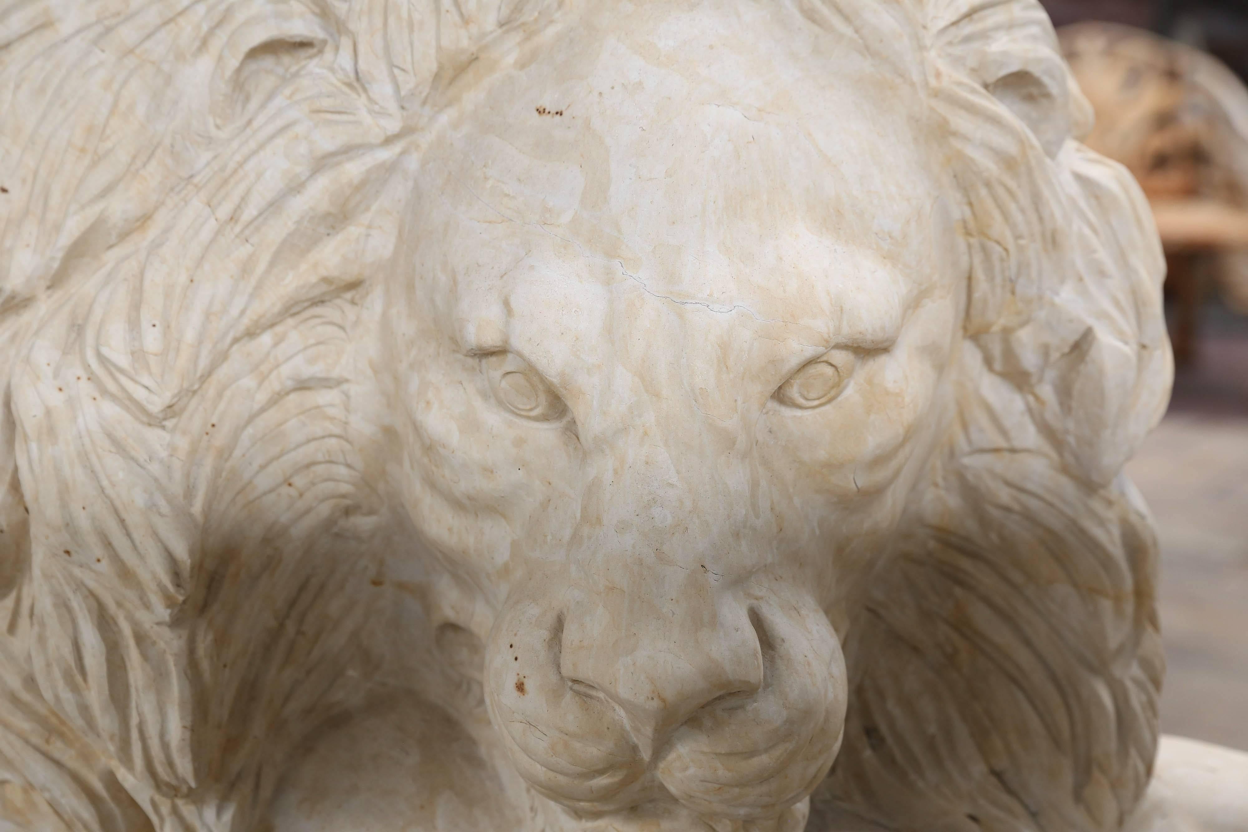 Pair of Large and Impressive Carved Marble Lion Garden Statues on Pedestals In Good Condition In Houston, TX