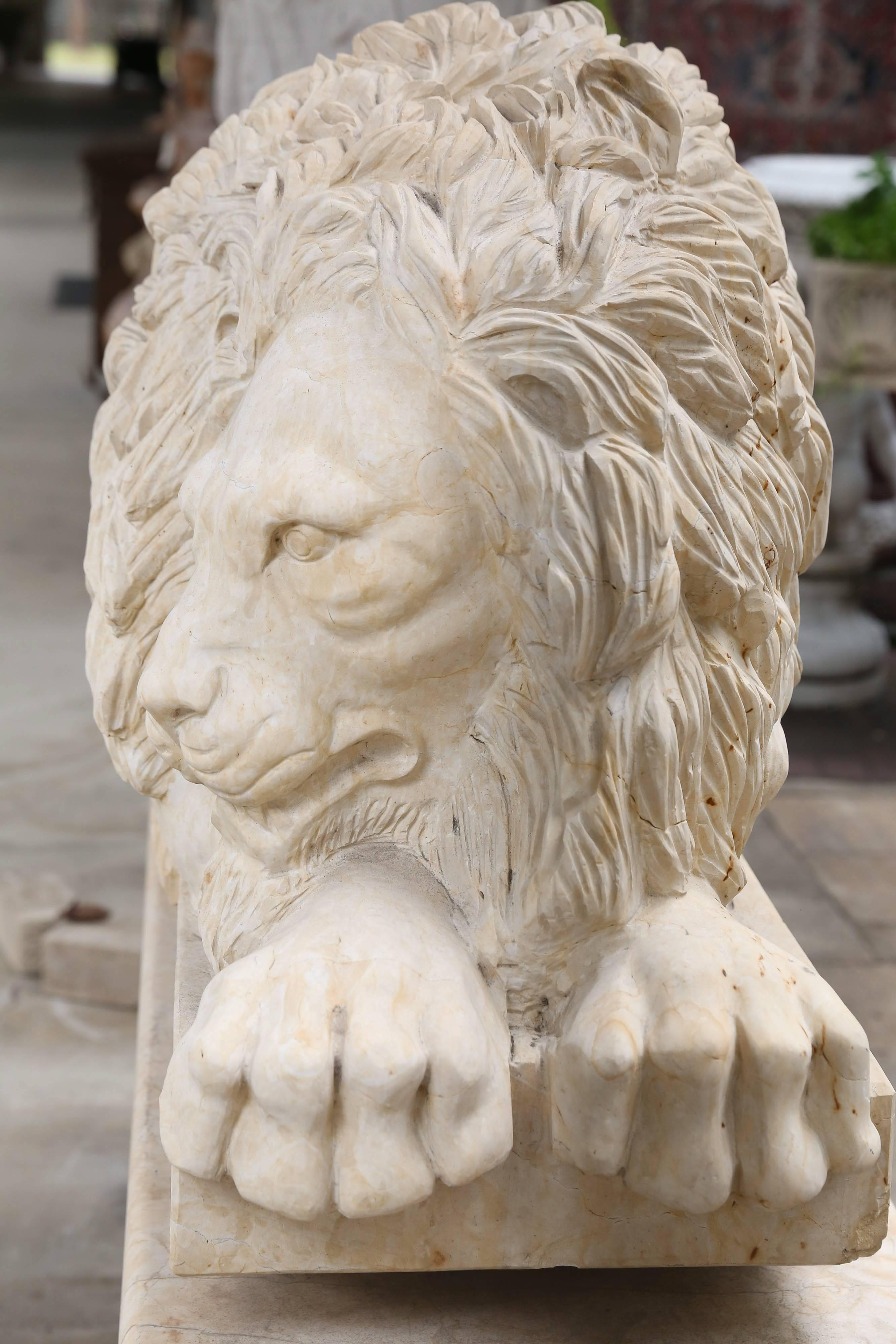20th Century Pair of Large and Impressive Carved Marble Lion Garden Statues on Pedestals