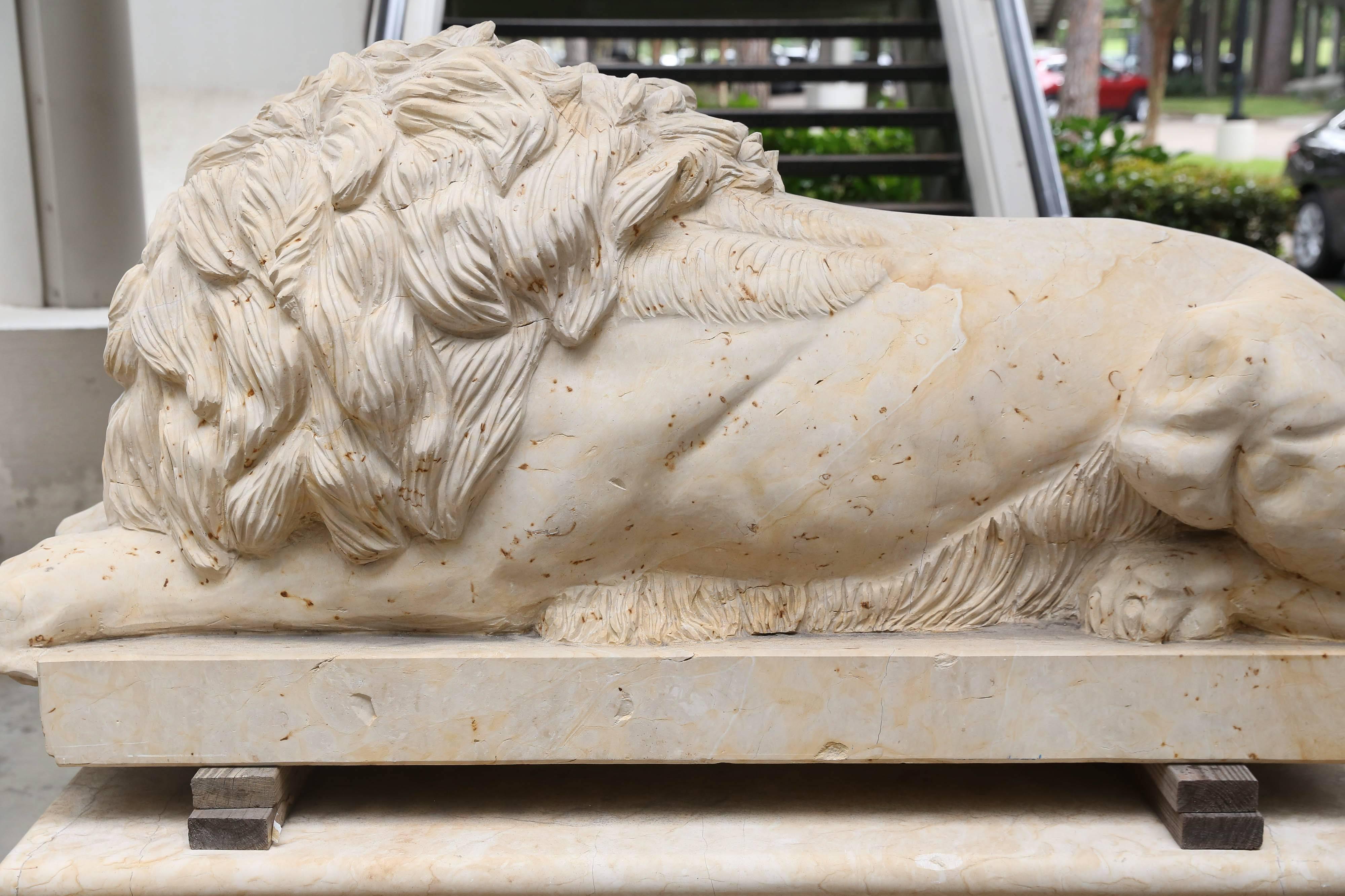 Pair of Large and Impressive Carved Marble Lion Garden Statues on Pedestals 1