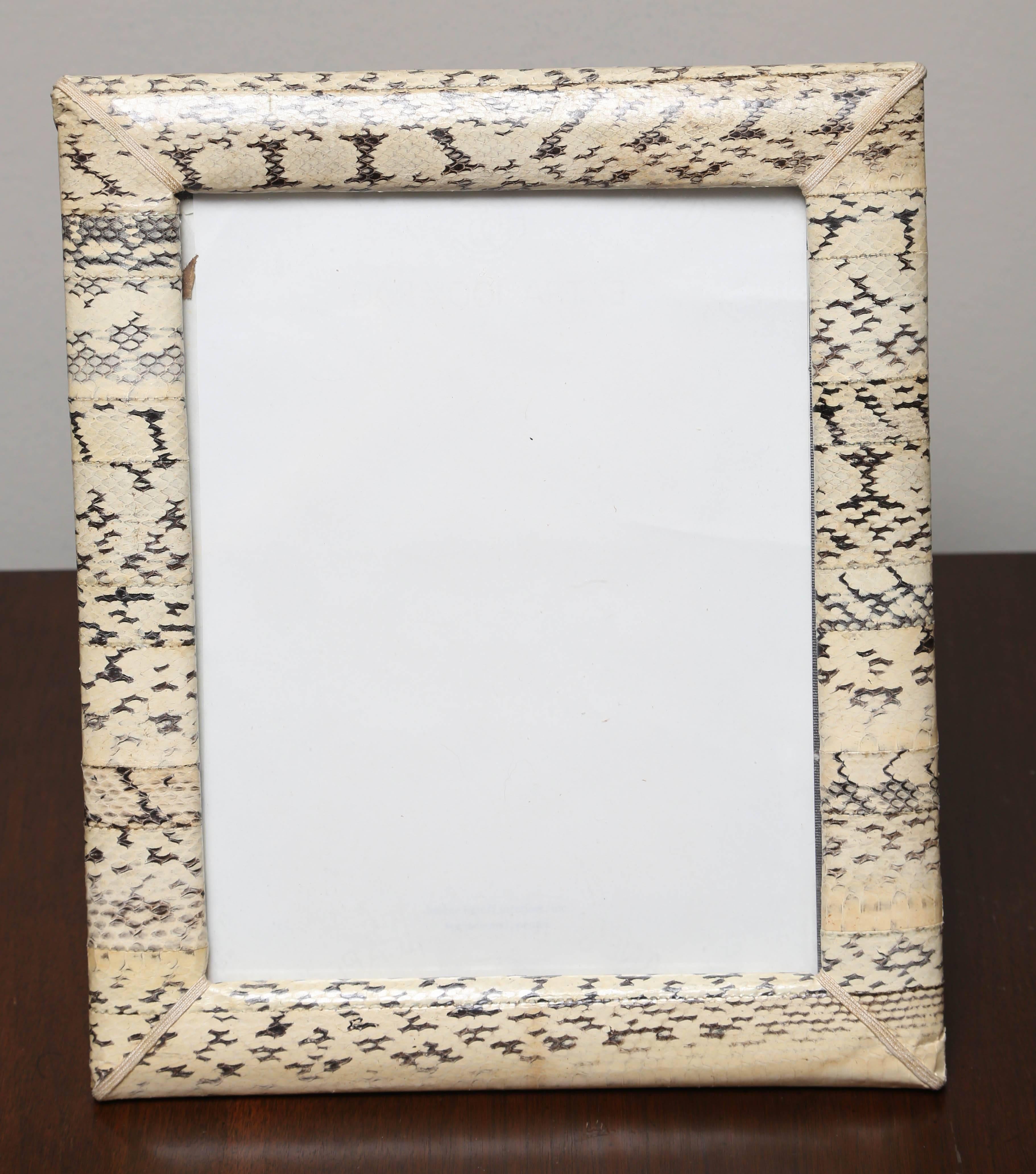 A Classic frame with silk moire backing and easel. Snakeskin is 1.5 