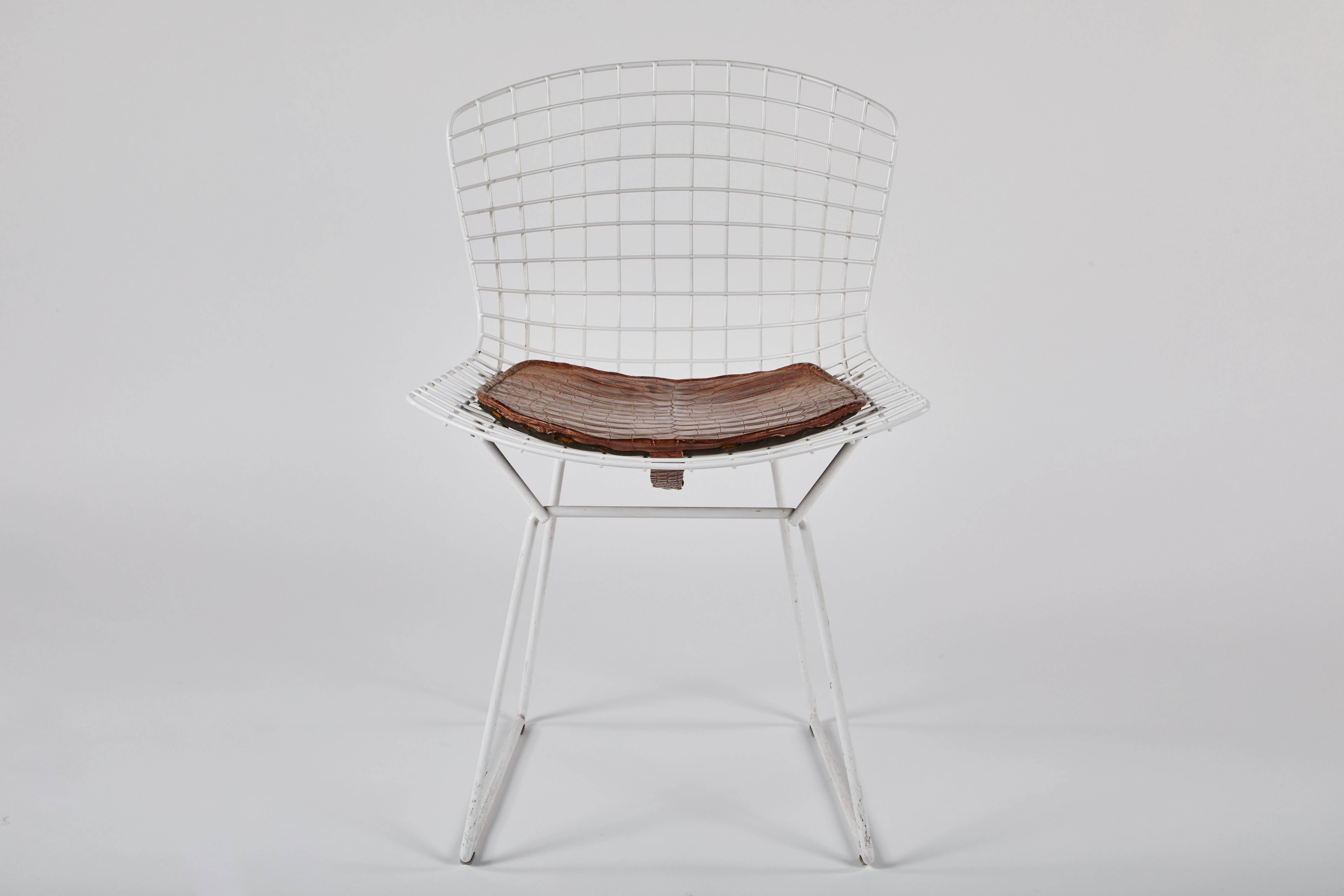 Mid-Century Modern Vieille paire de chaises d'appoint Bertoia blanches avec coussins en alligator en vente