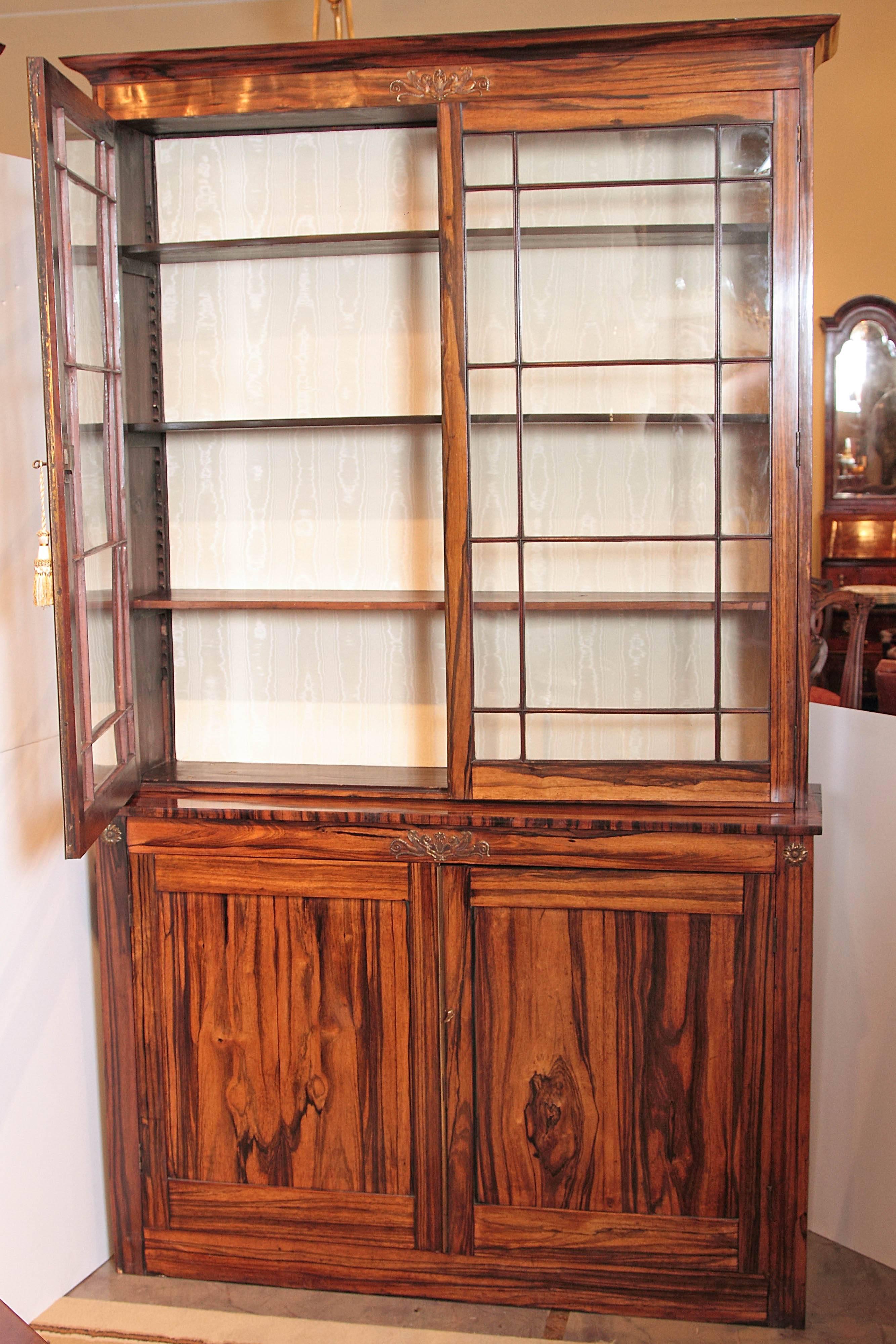 English Pair of Fine Period Regency Rosewood Cabinets with Bronze Details