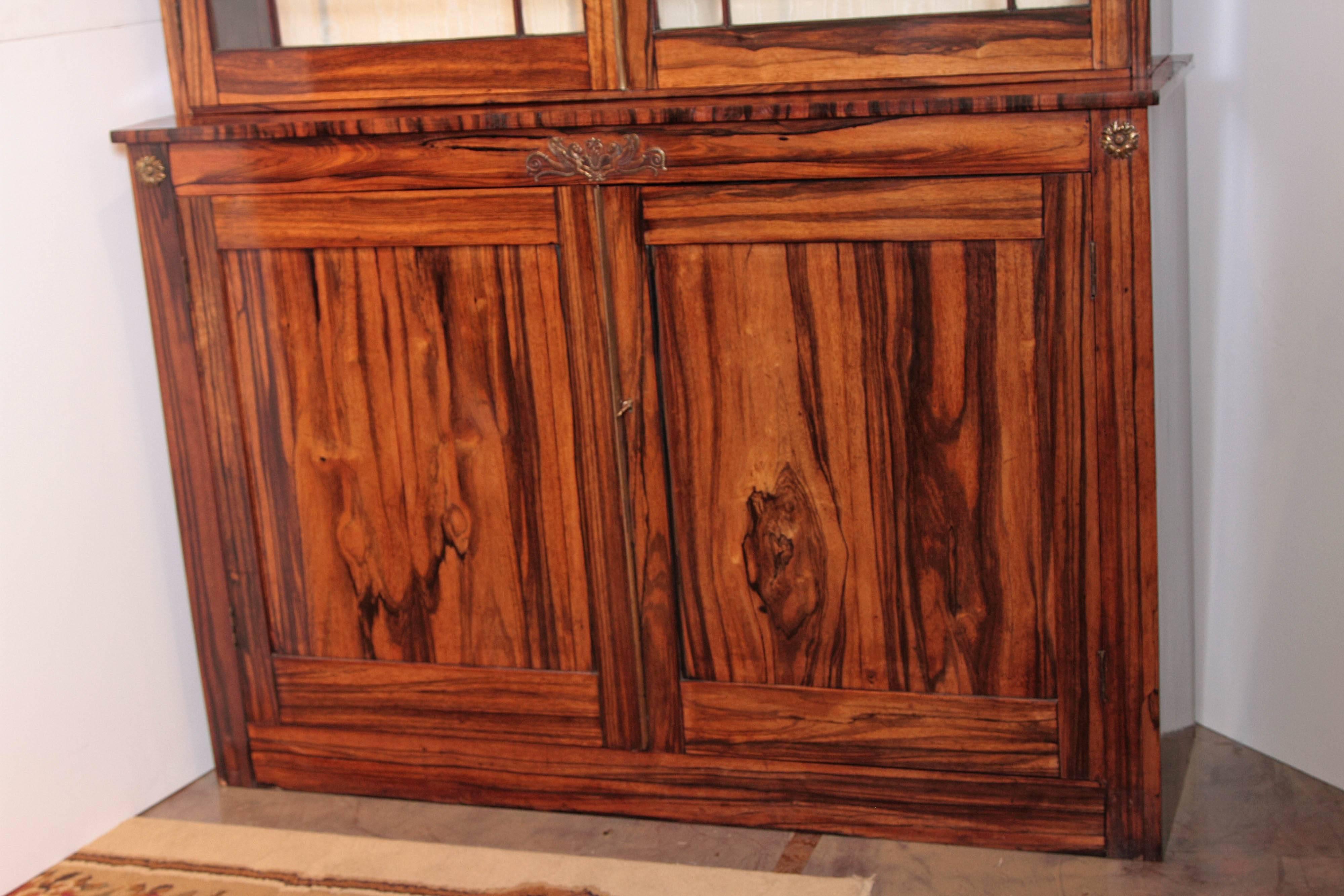 Early 19th Century Pair of Fine Period Regency Rosewood Cabinets with Bronze Details