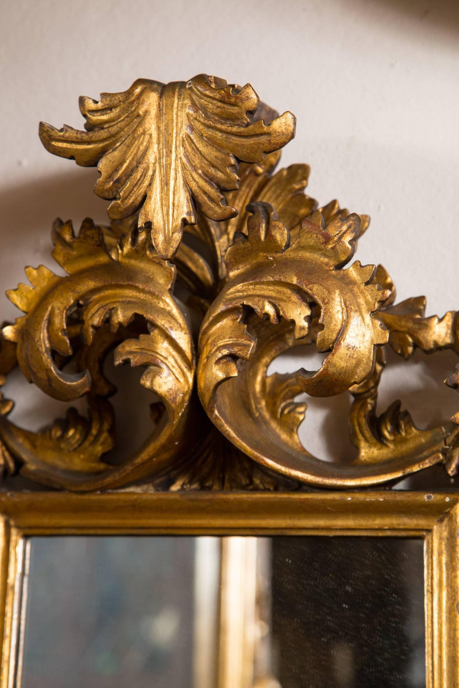 Rococo Antique Italian Giltwood Mirror