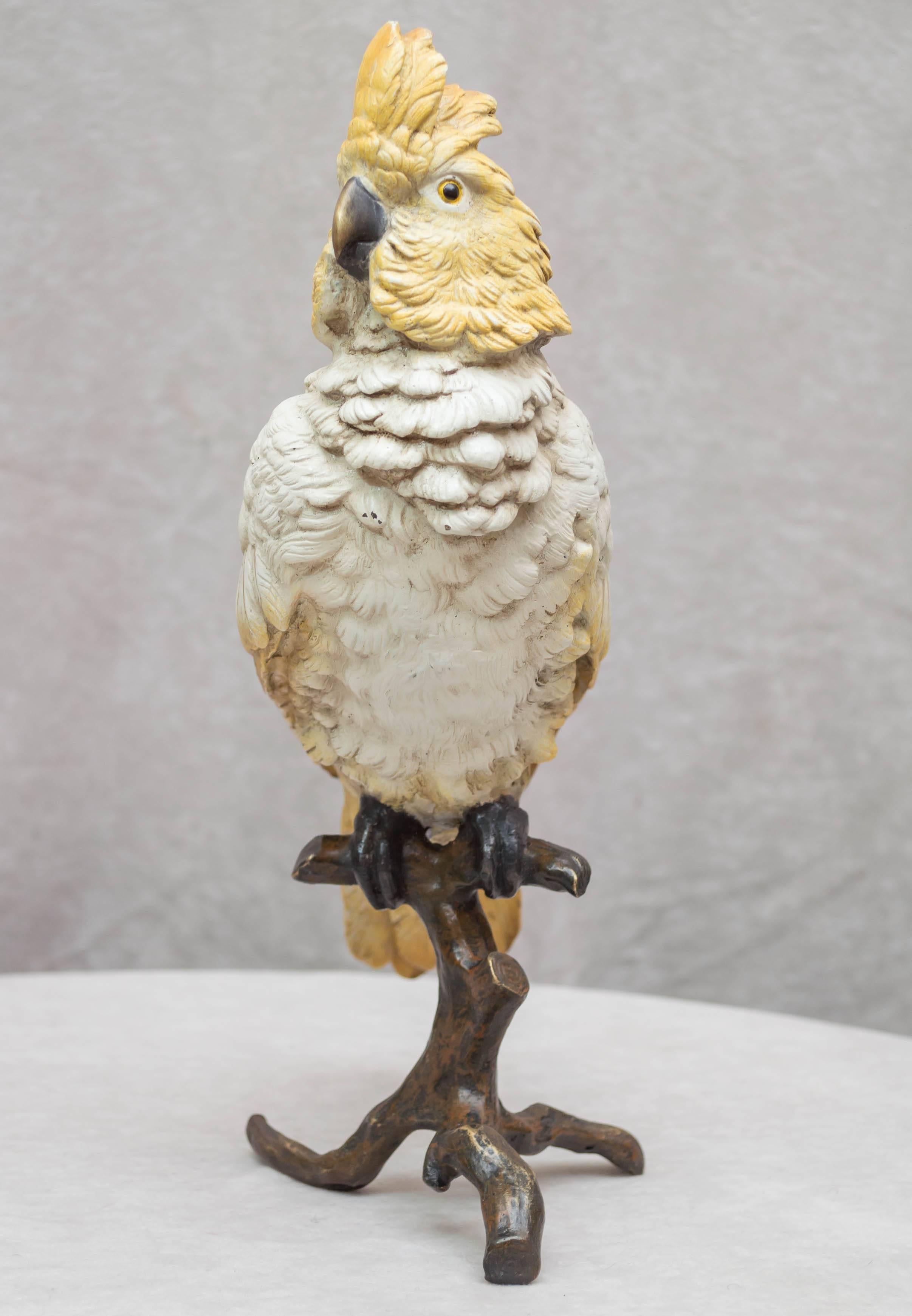 Austrian Cold Painted Vienna Bronze Cockatoo by Franz Bergmann
