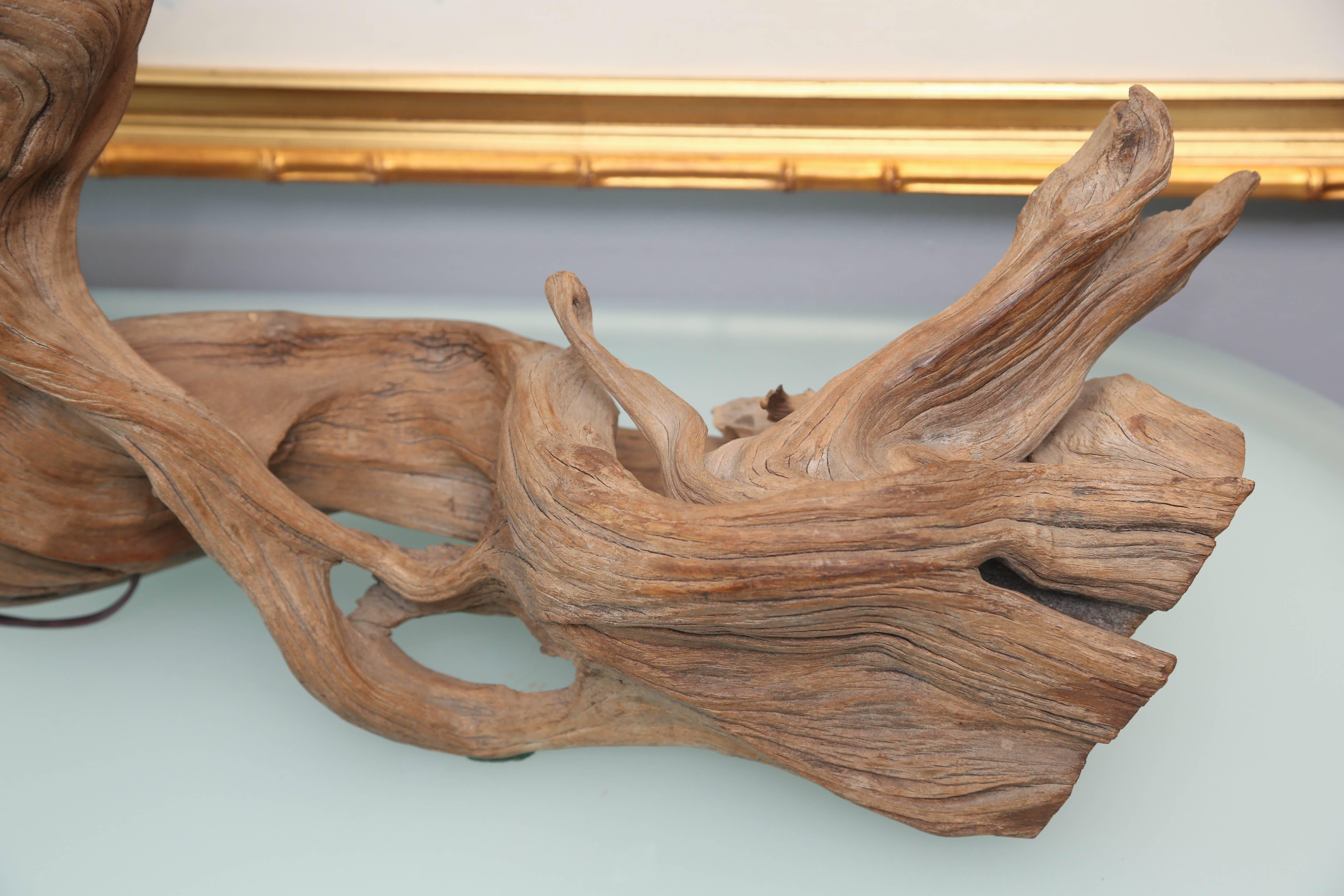Superb Pair of Large Driftwood Lamps 4