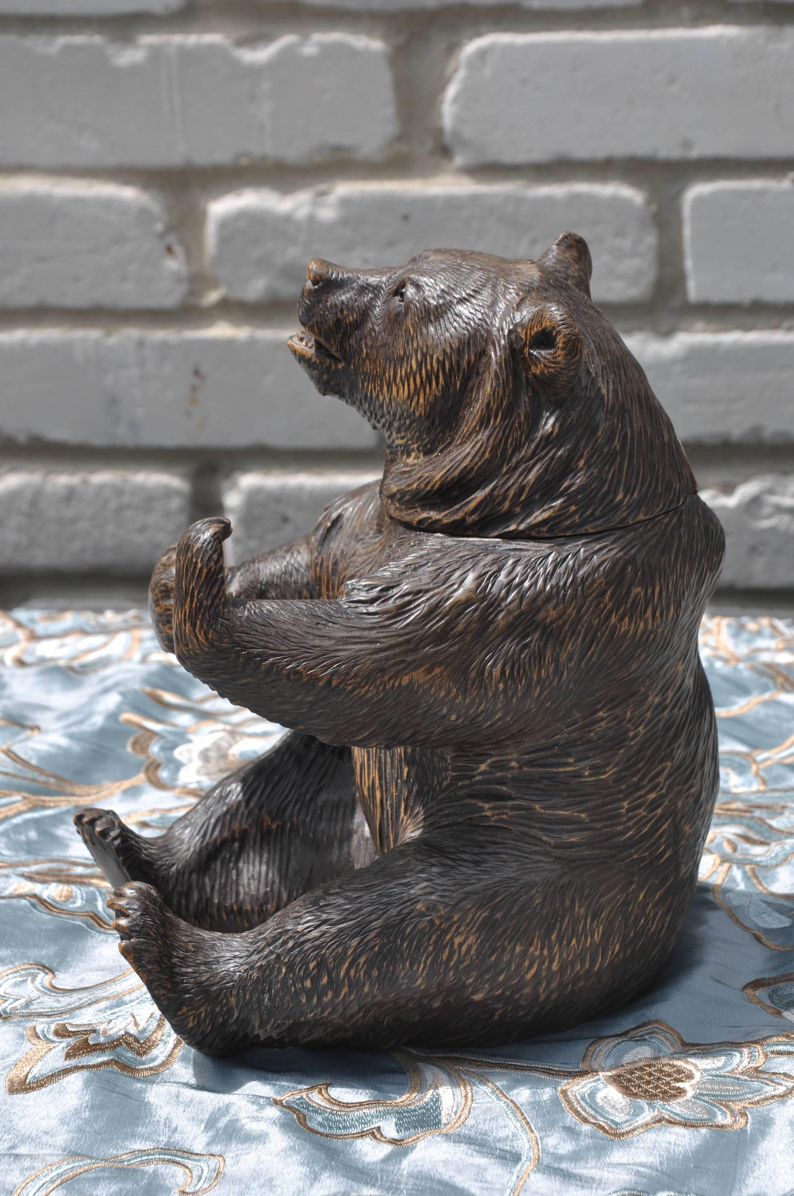 Swedish Brienz Black Forest Bear Humidor For Sale