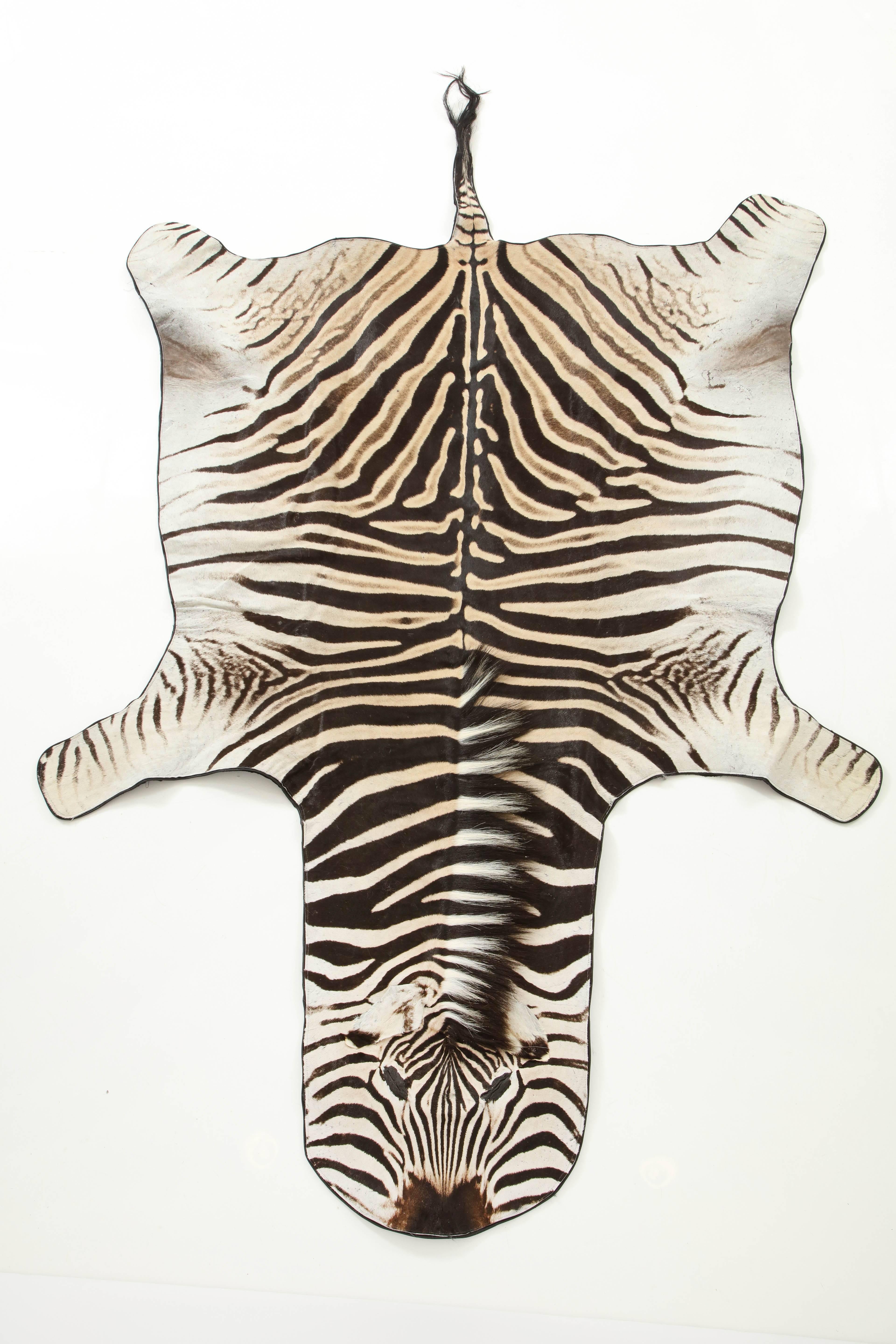Decorative zebra hide. It is backed with a wool felt and has a leather trimming around the hide.