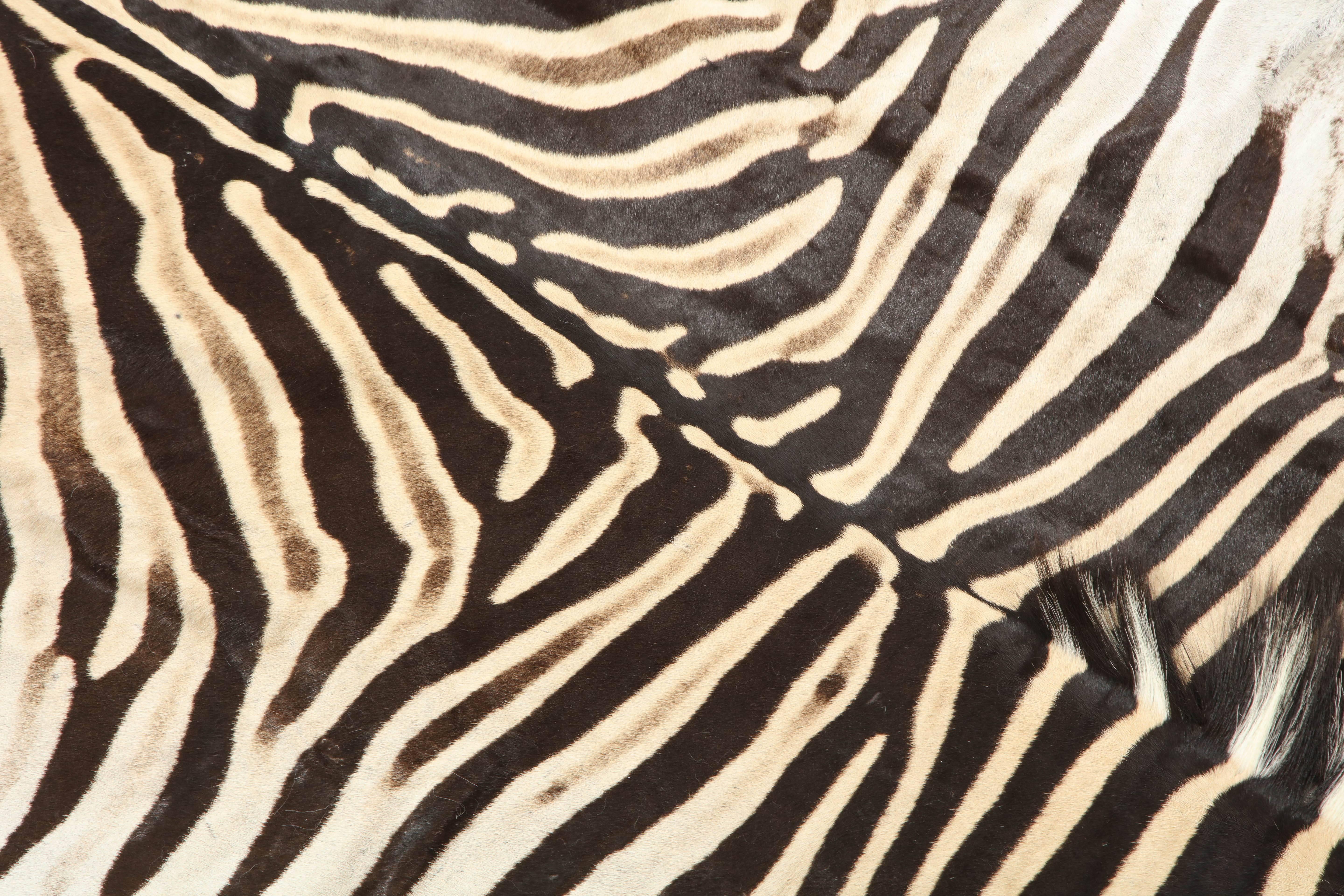 Zebra Rug In Excellent Condition In New York, NY