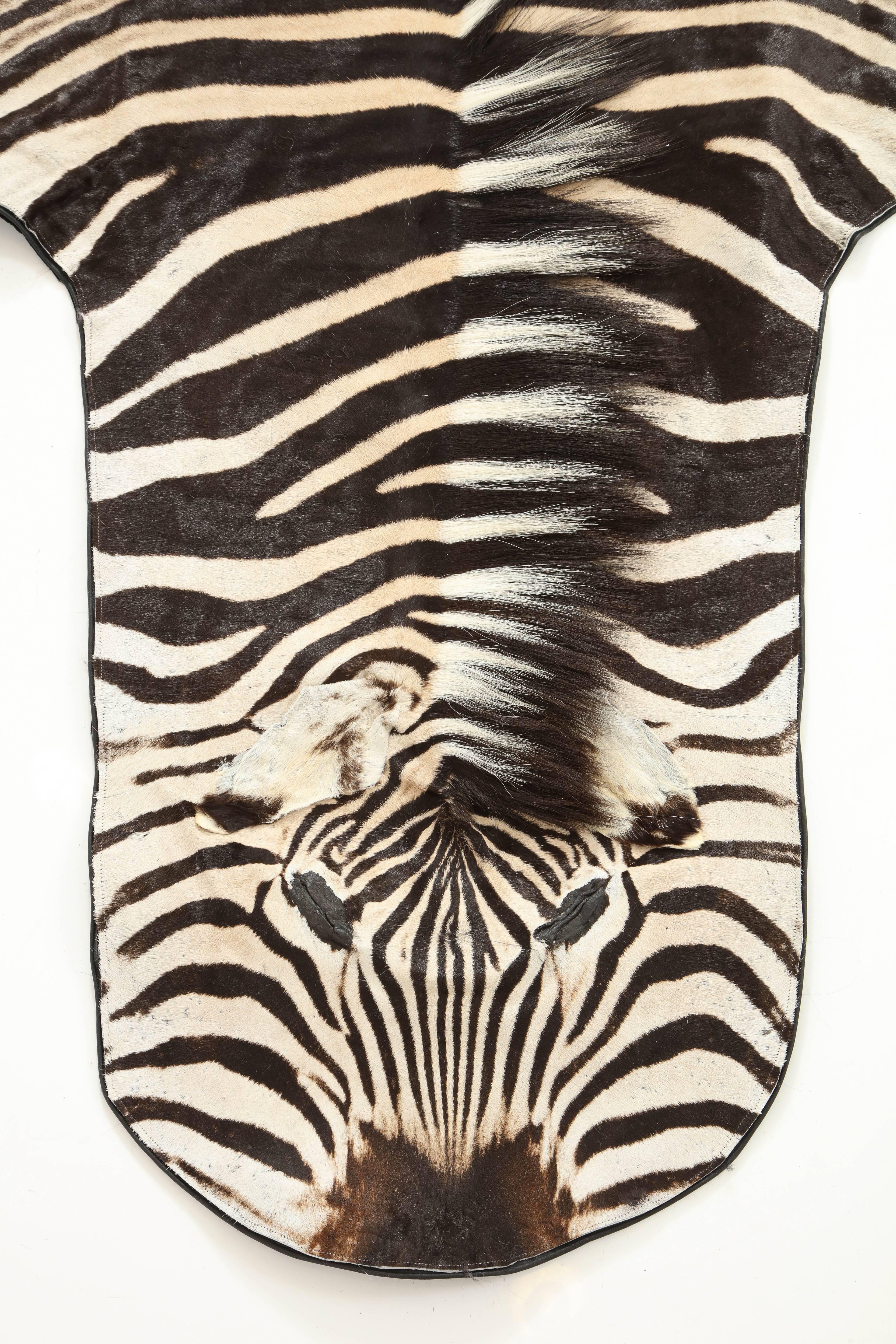 Contemporary Zebra Rug