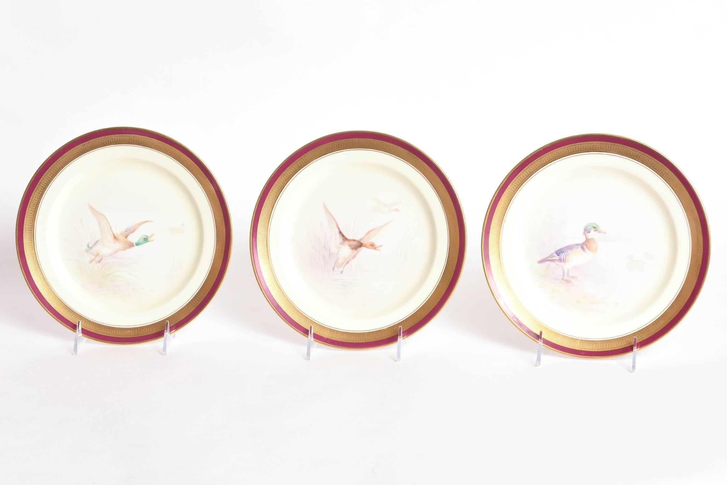 12 Game Bird Plates, Hand-Painted & Artist Signed. Rare Ruby Red Border, Antique 3
