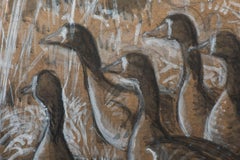 Charles Frederick Tunnicliffe drawing of Canadian geese, England, circa 1970