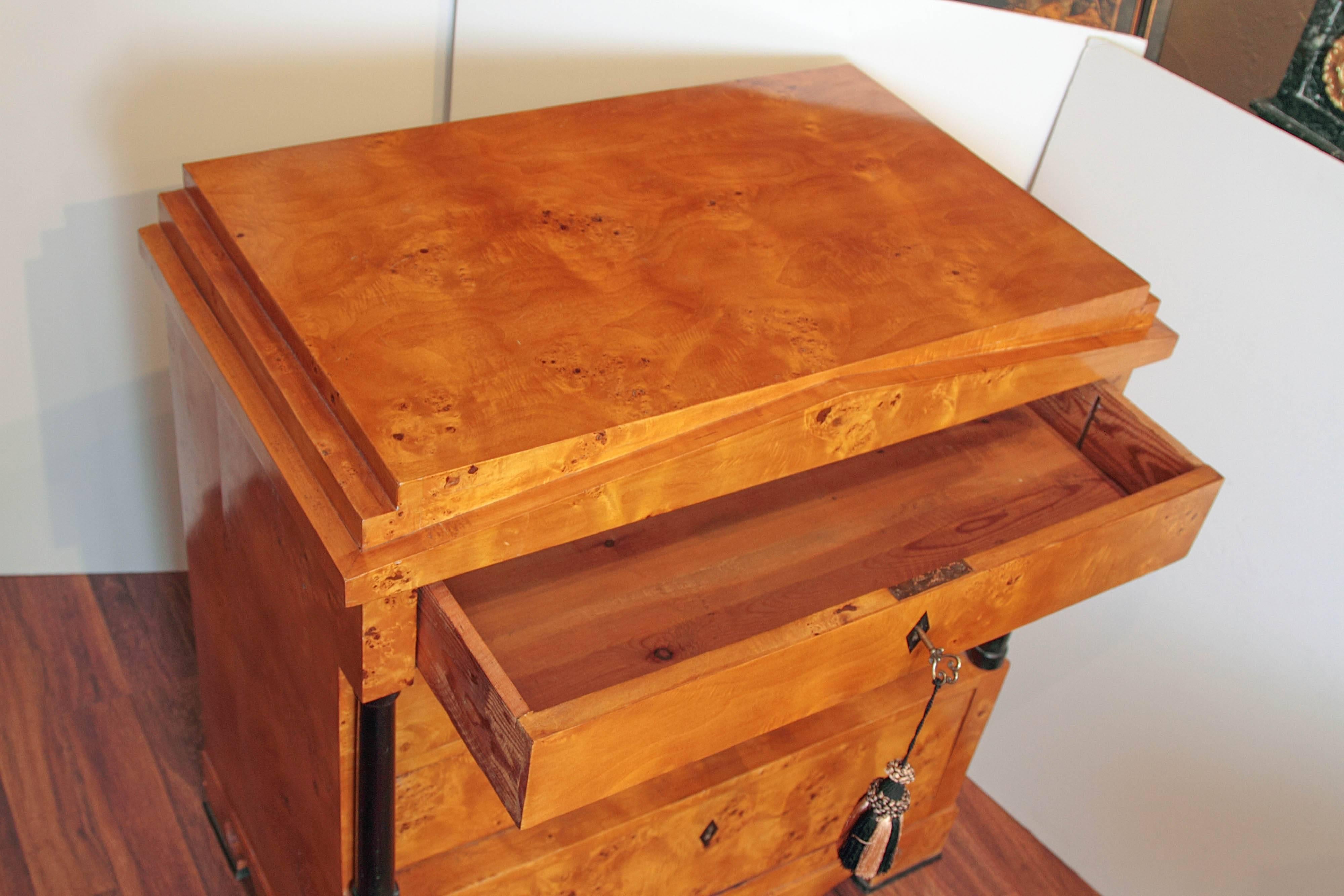19th Century Biedermeier Chest of Drawers 2