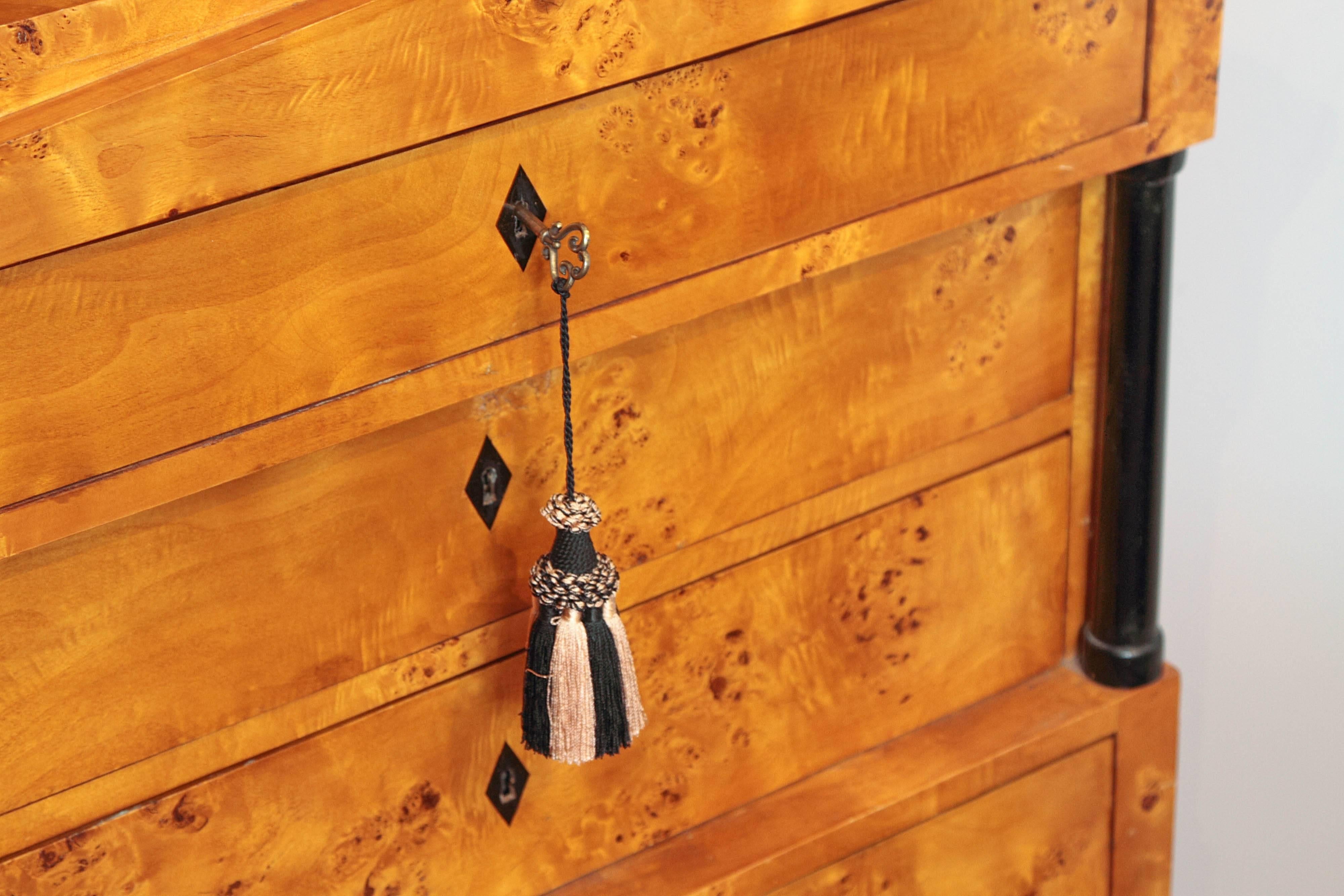 19th Century Biedermeier Chest of Drawers 3