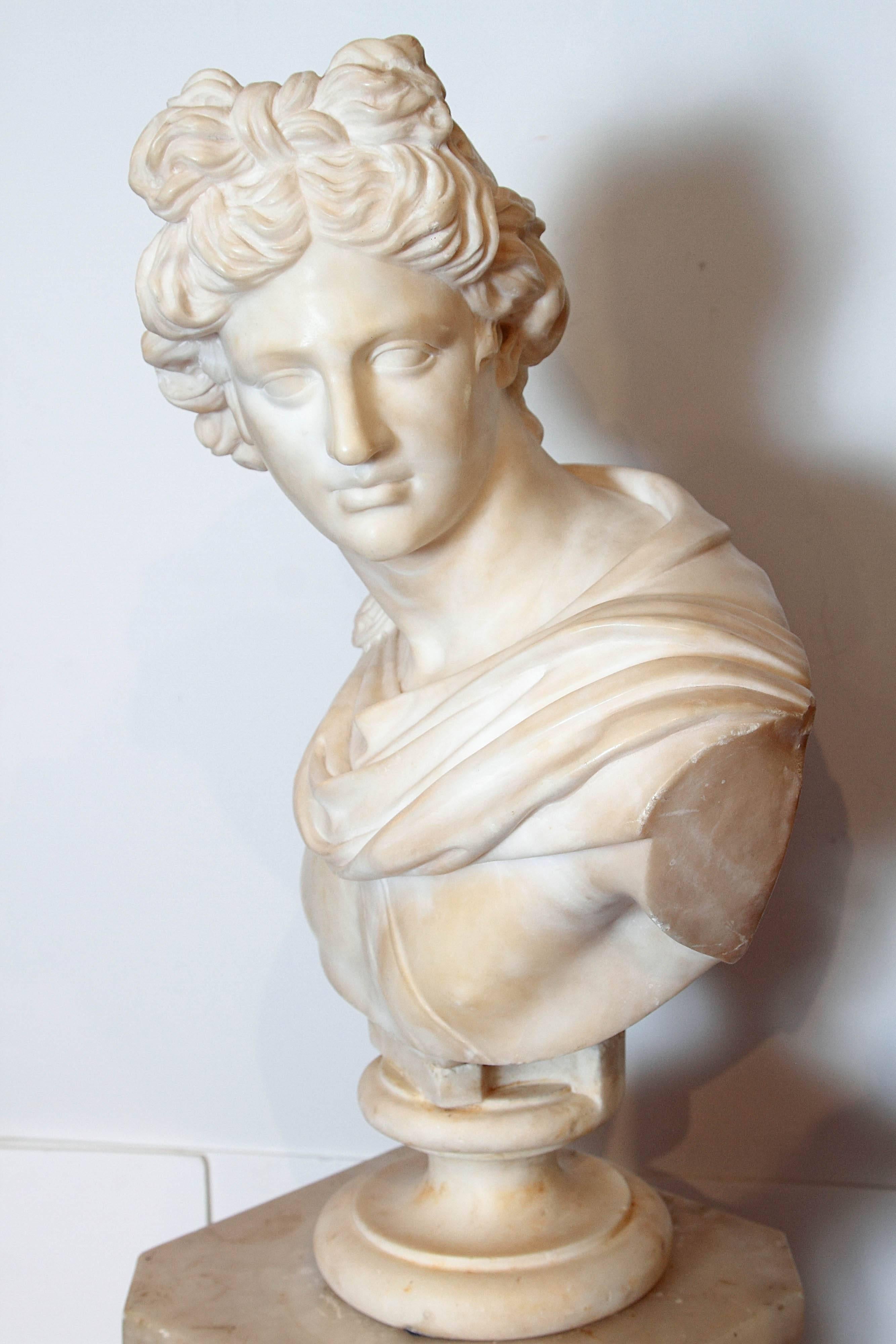 19th Century, Italian Alabaster Bust of Apollo Belvedere by O. Scheggi 1