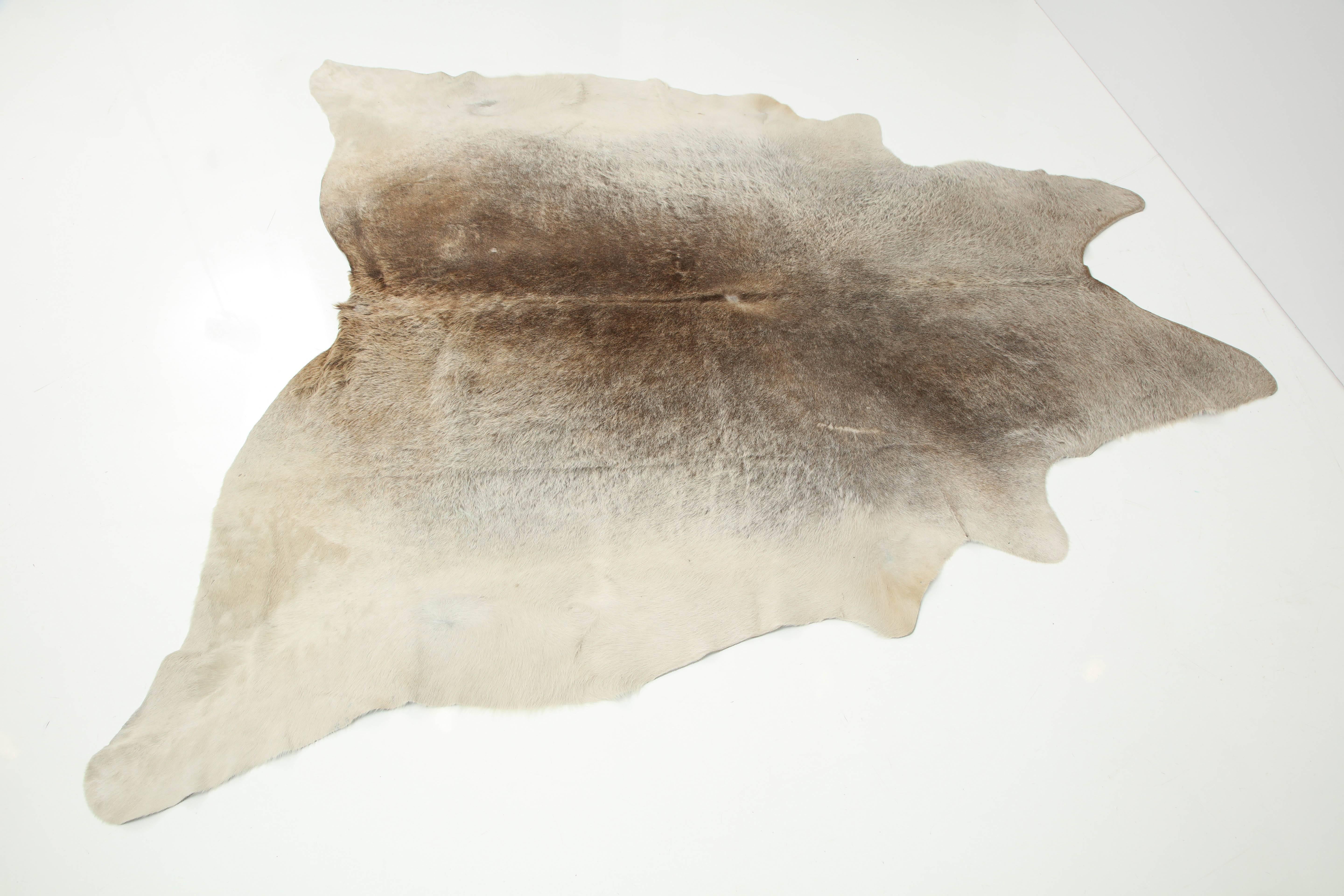 Argentine Cow Hide Rug, Offered by Area ID