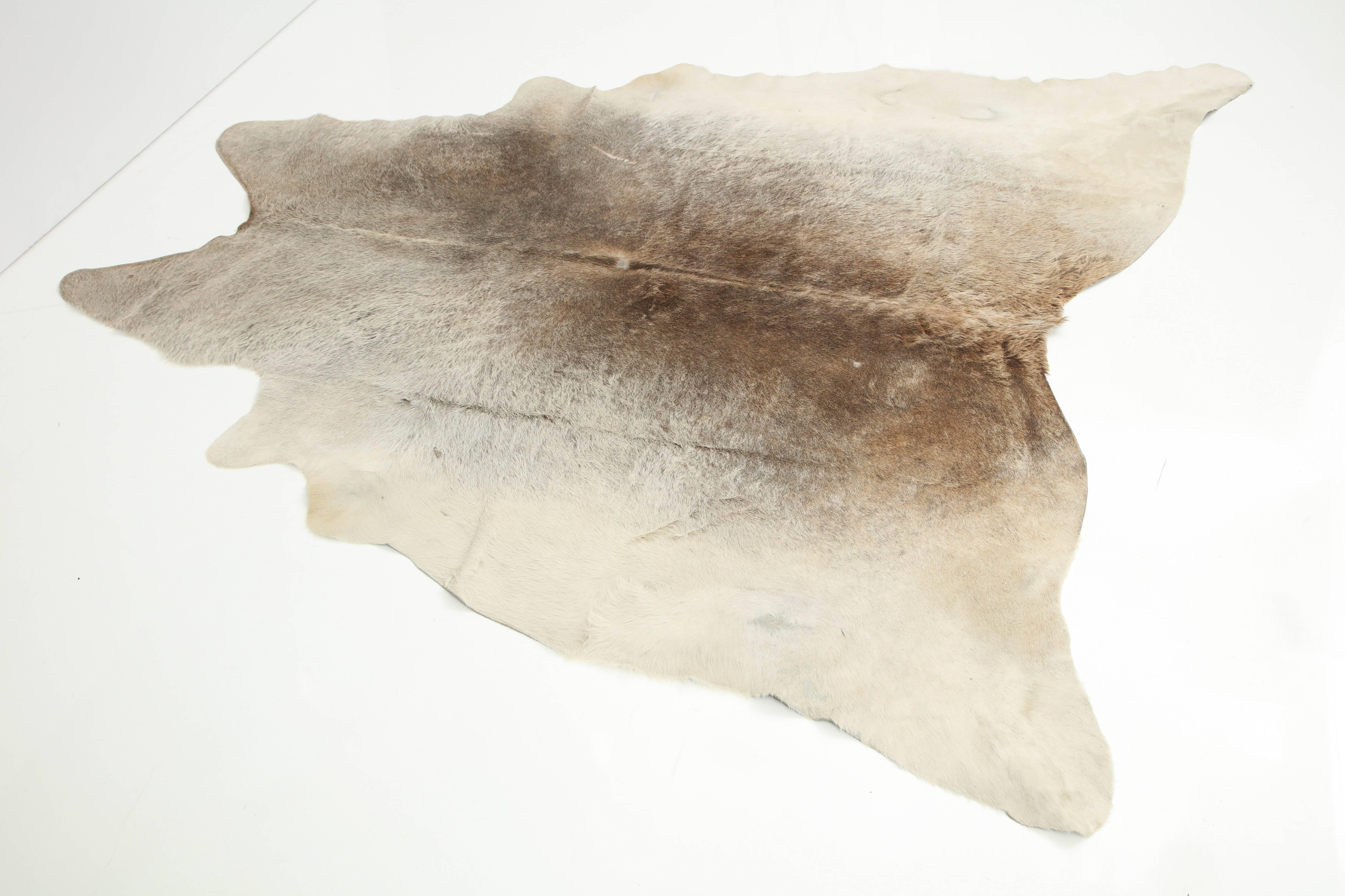 Contemporary Cow Hide Rug, Offered by Area ID