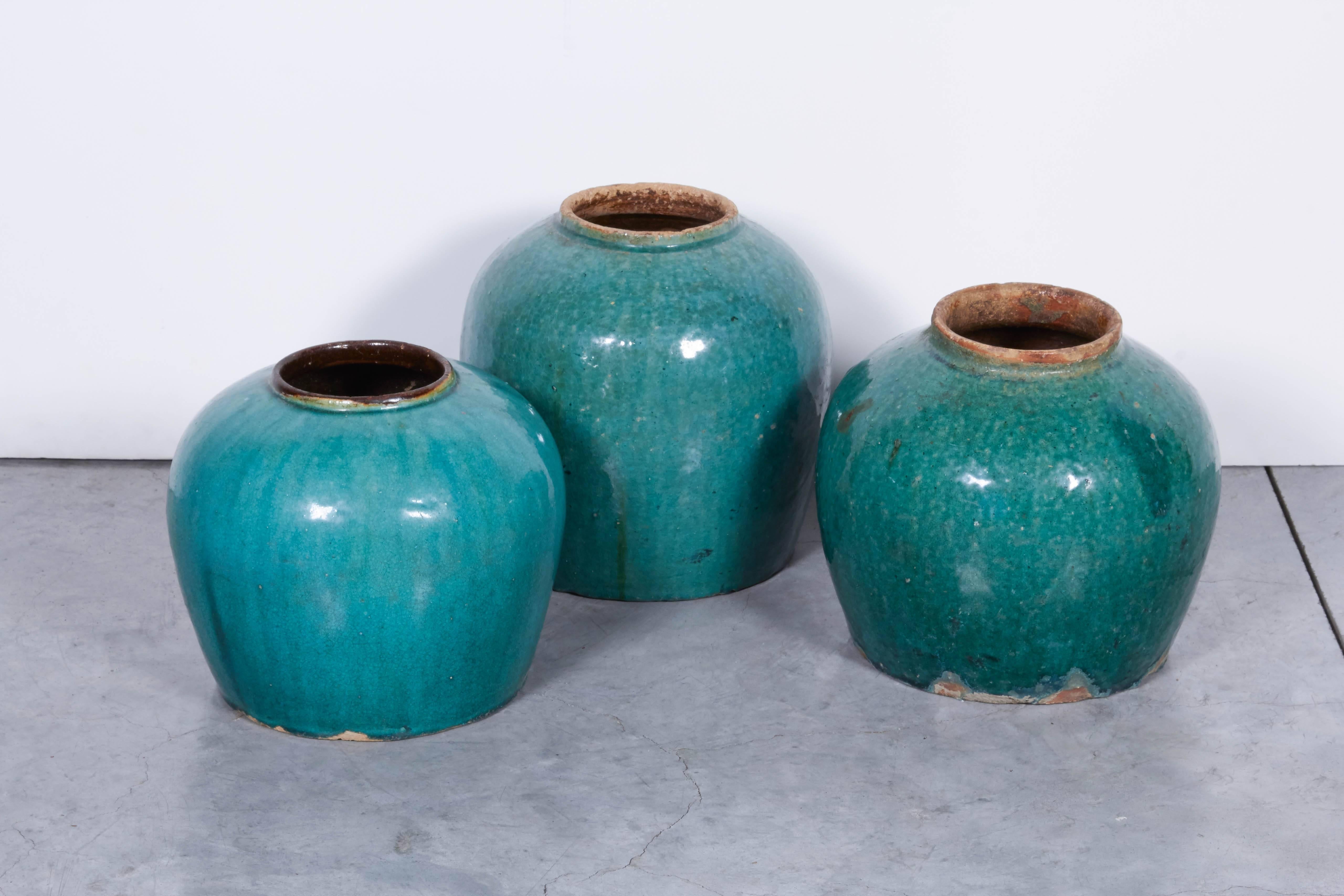 antique ginger jars for sale