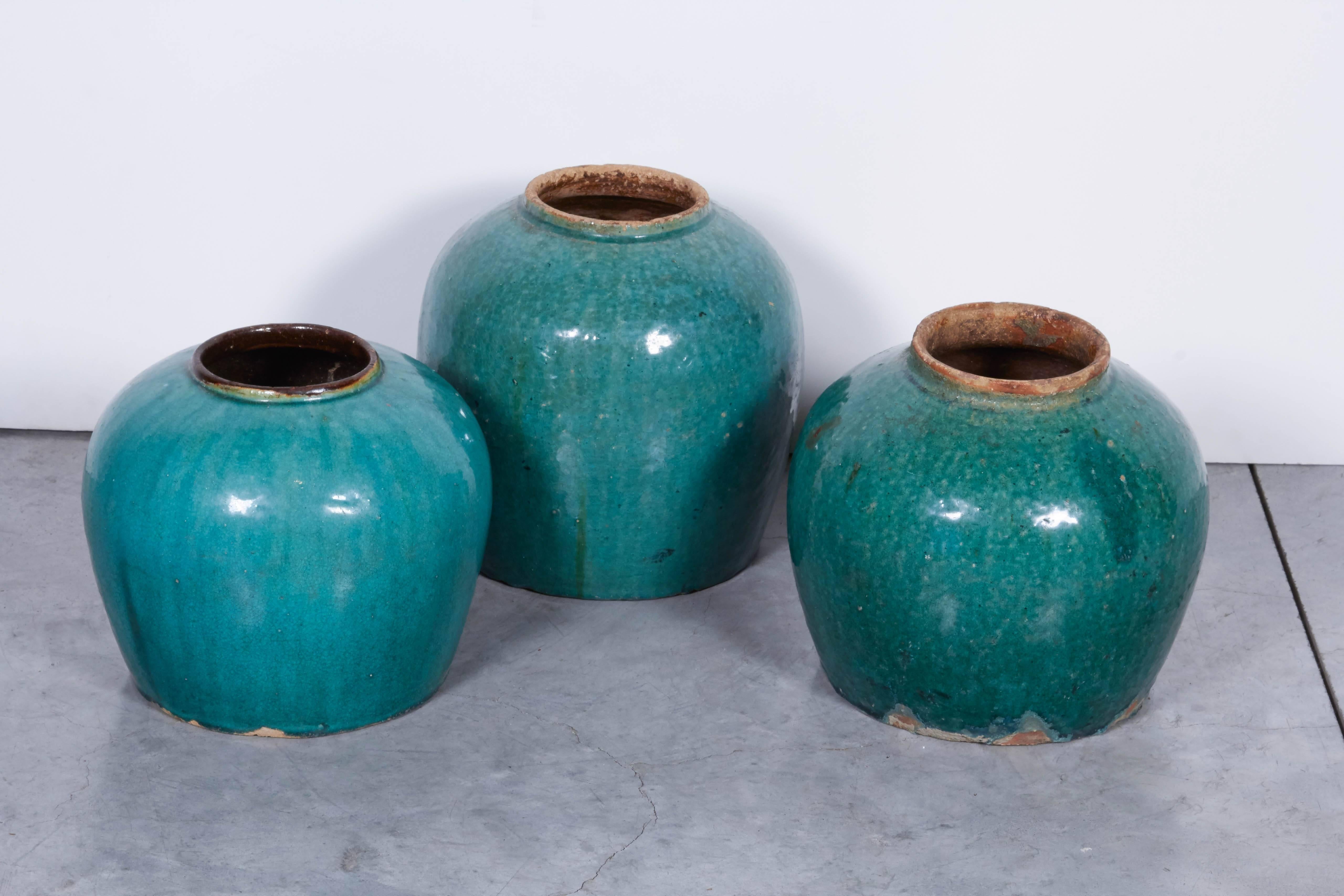 Antique Chinese Ginger Jars In Good Condition In New York, NY