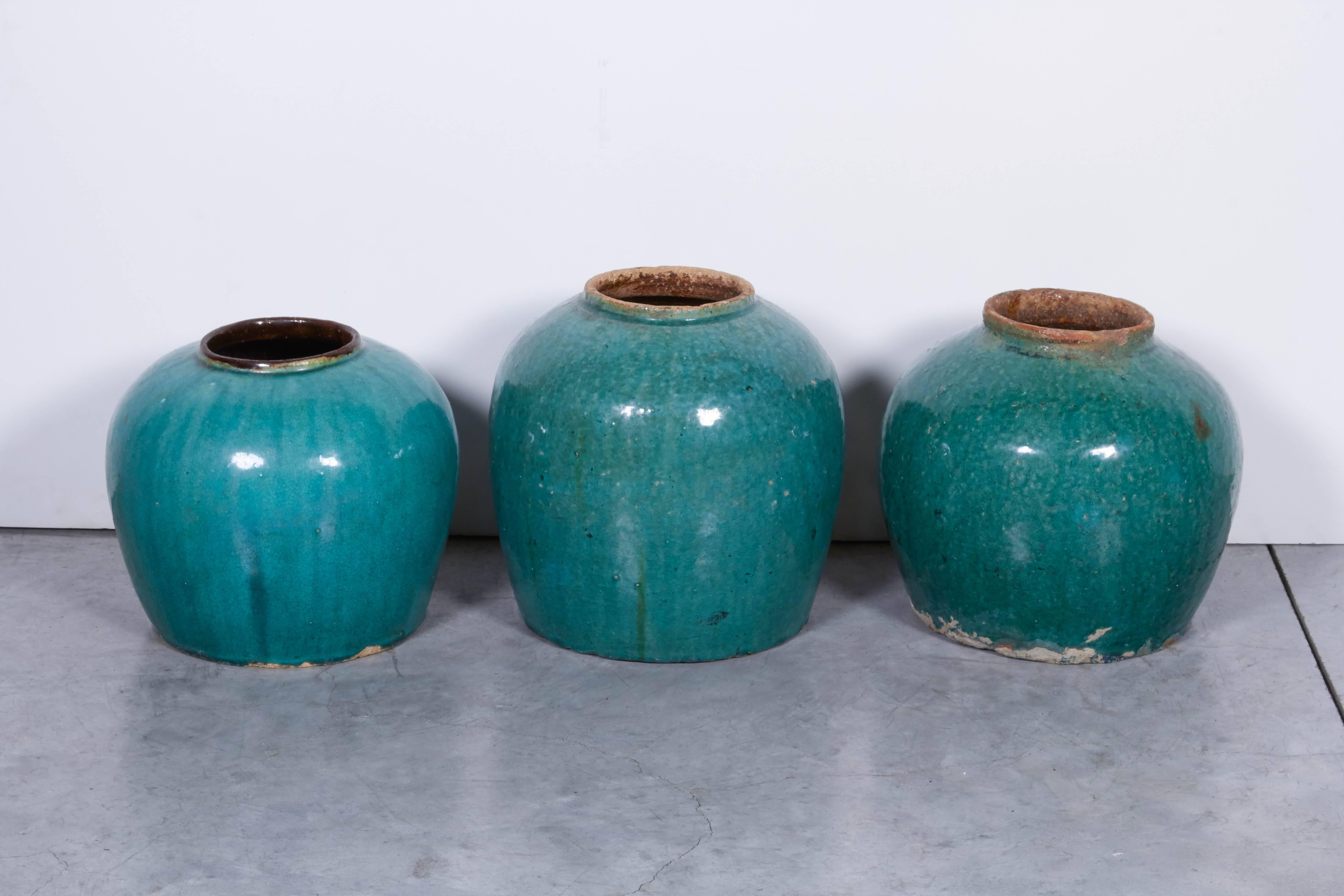 19th Century Antique Chinese Ginger Jars