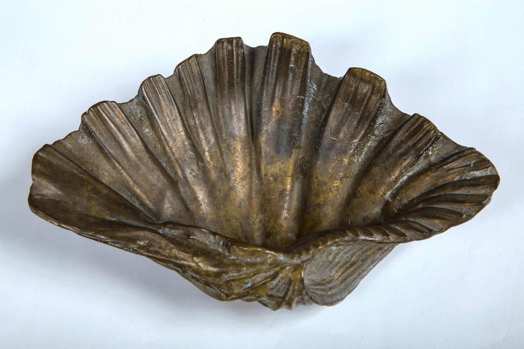shell bronze